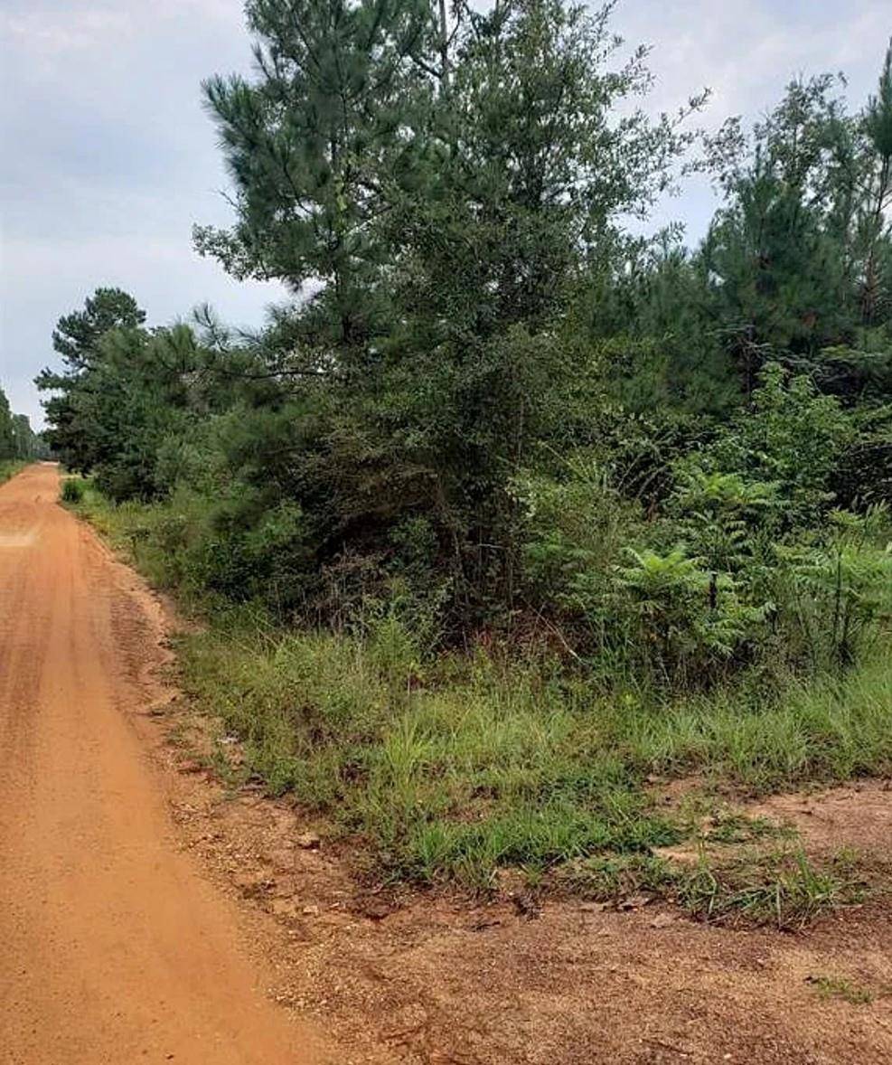 133 Barbara TRL, Livingston, TX 77351