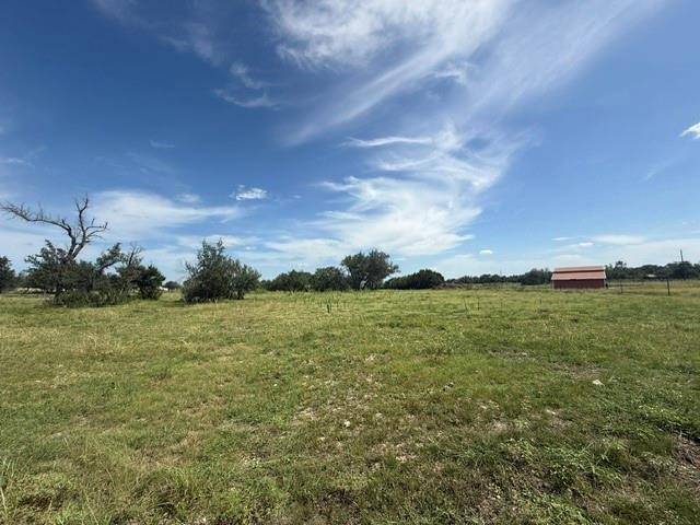 TBD W 29 HWY, Bertram, TX 78605