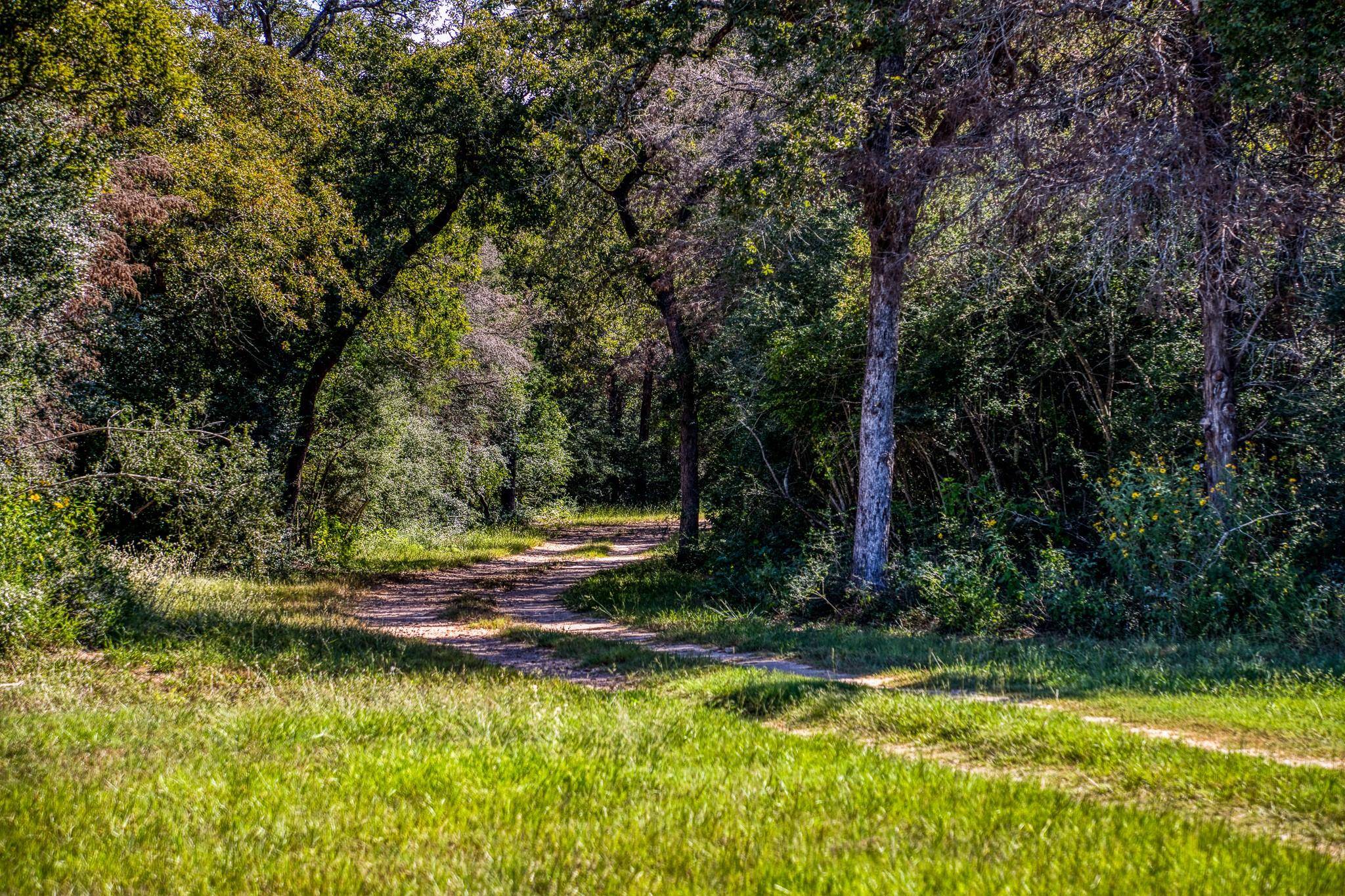 3336 County Road 326, Lexington, TX 78947