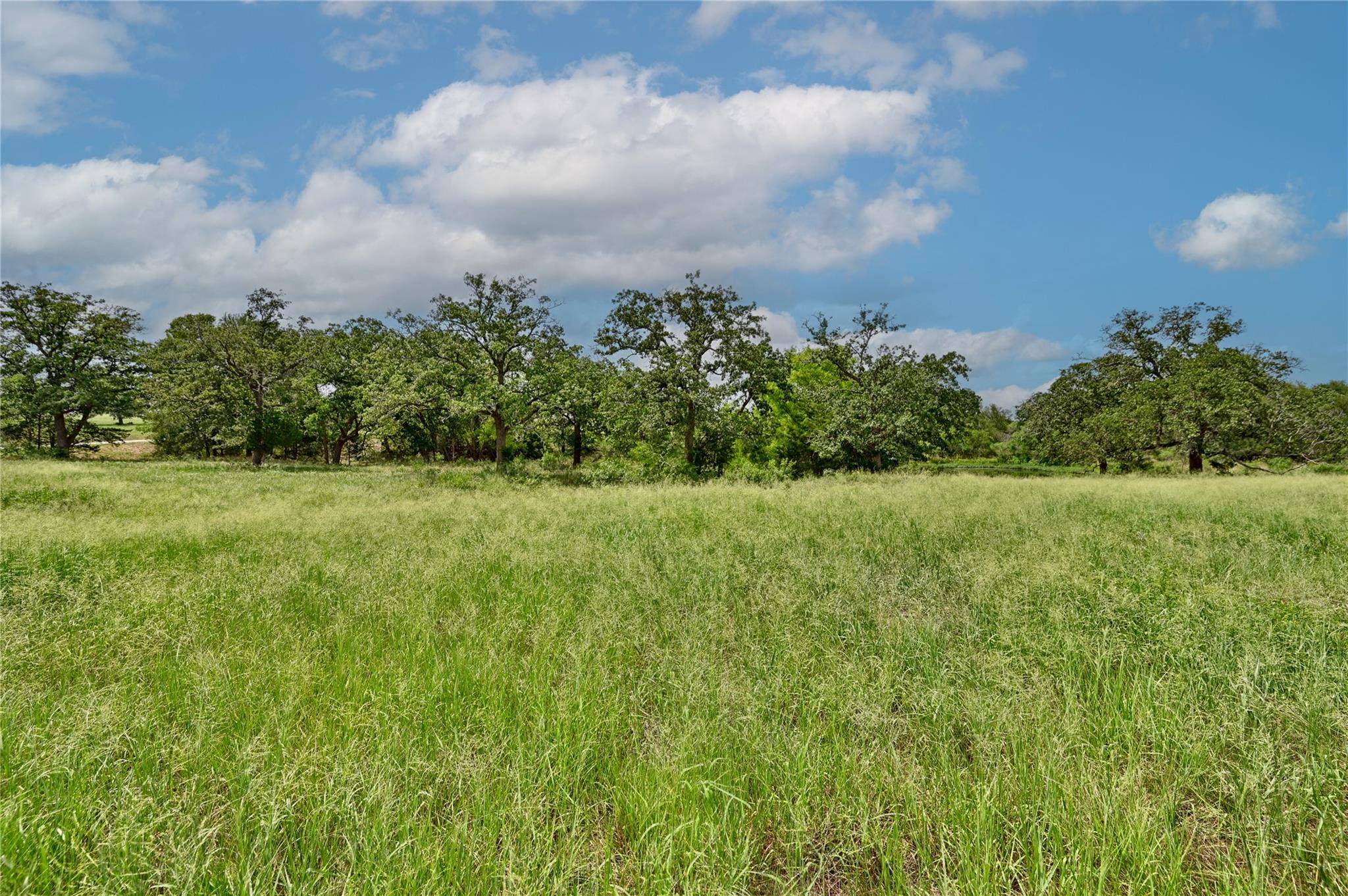 180 Sunny Day Dr, Red Rock, TX 78662