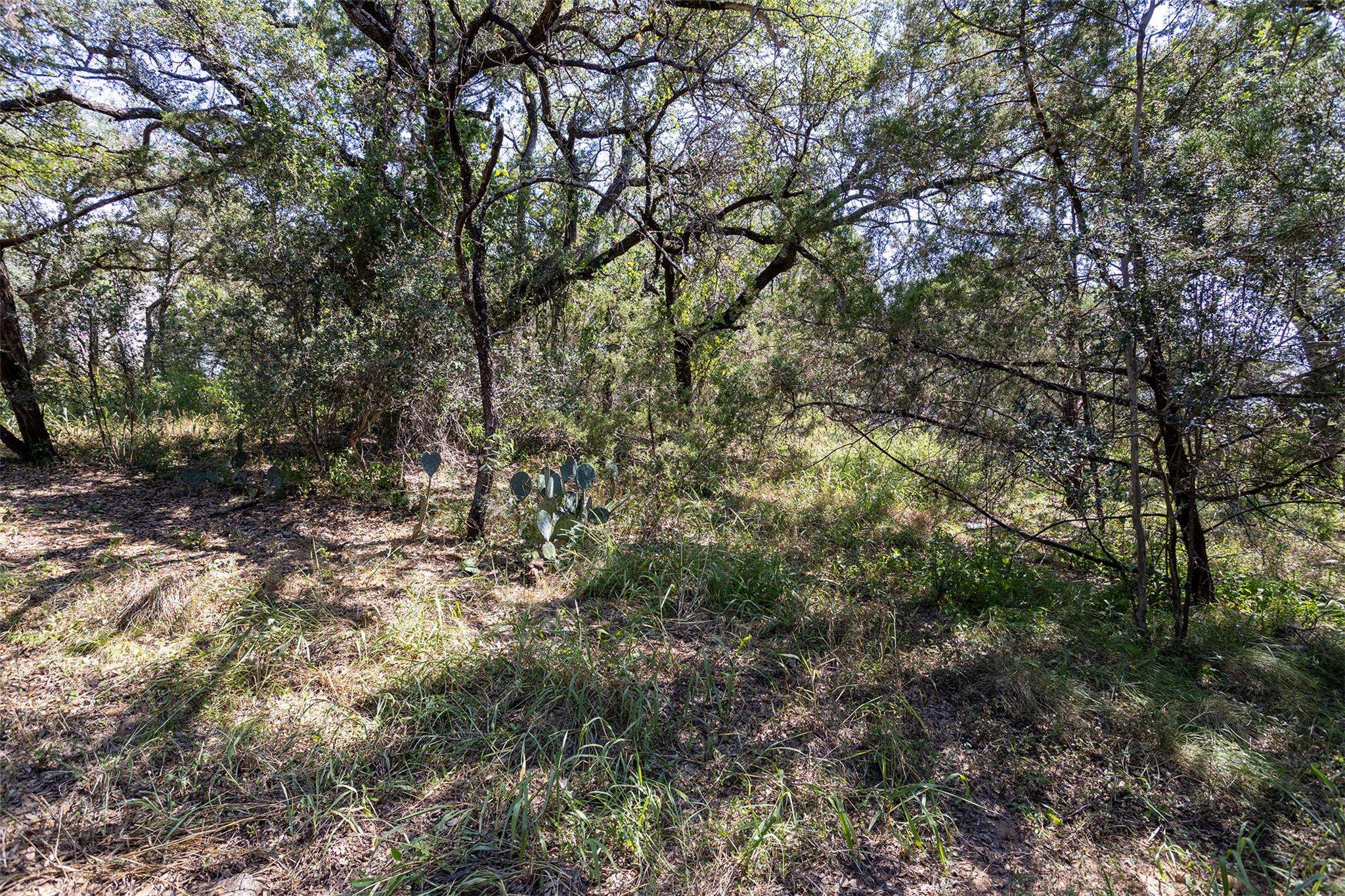 TBD Laurel LN, Spicewood, TX 78669