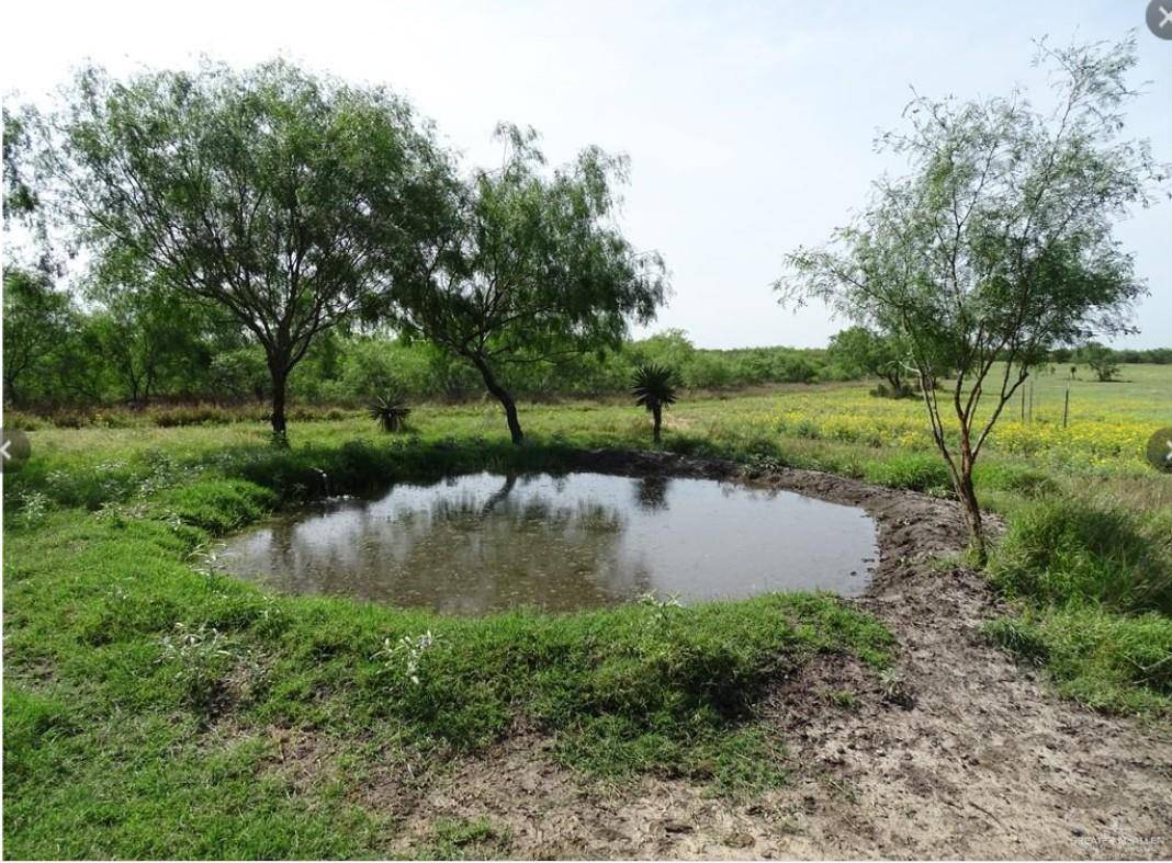 FM 2294 FM 2294, San Isidro, TX 78588