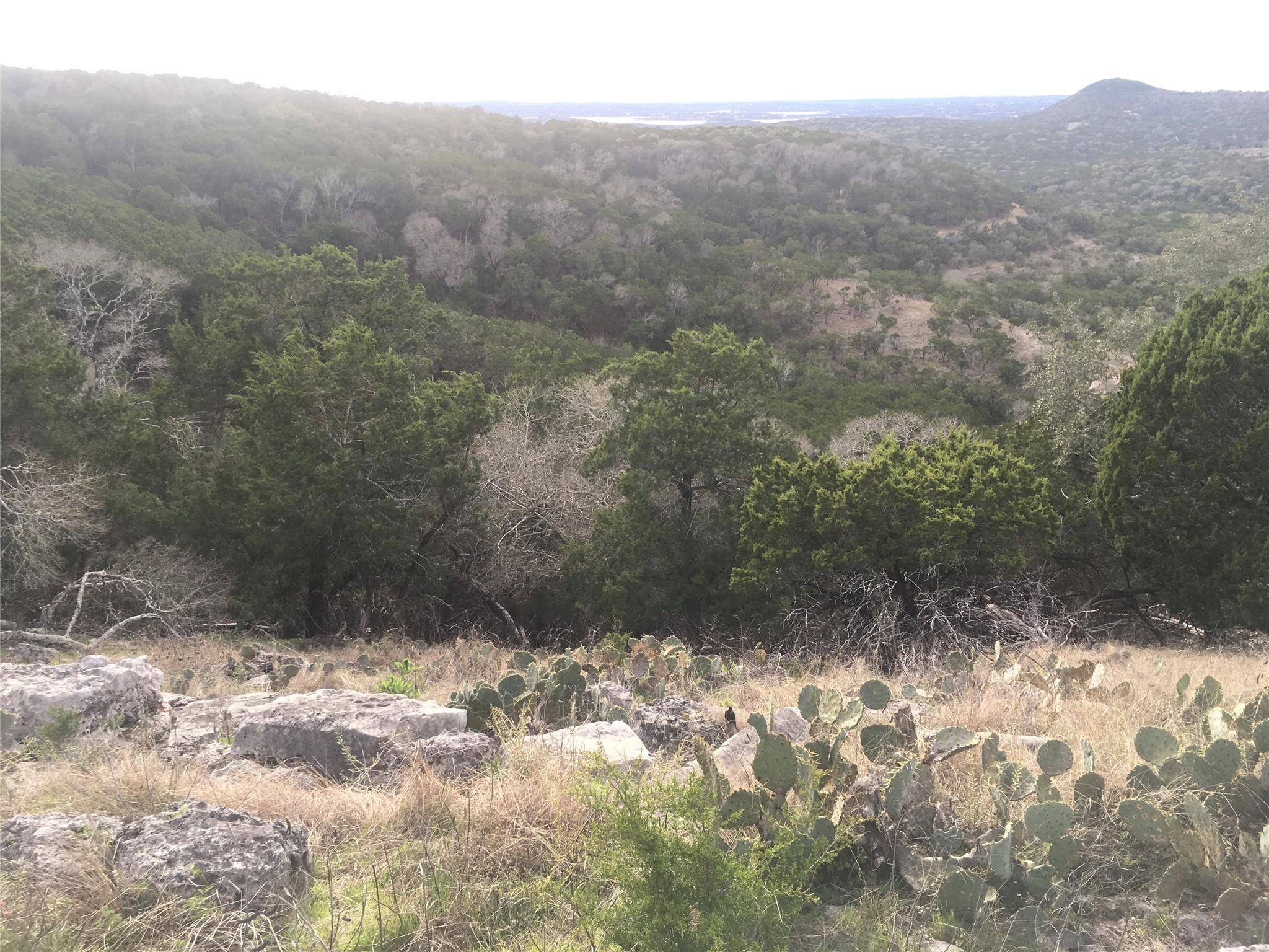 1350 Serenity DR, Fischer, TX 78623