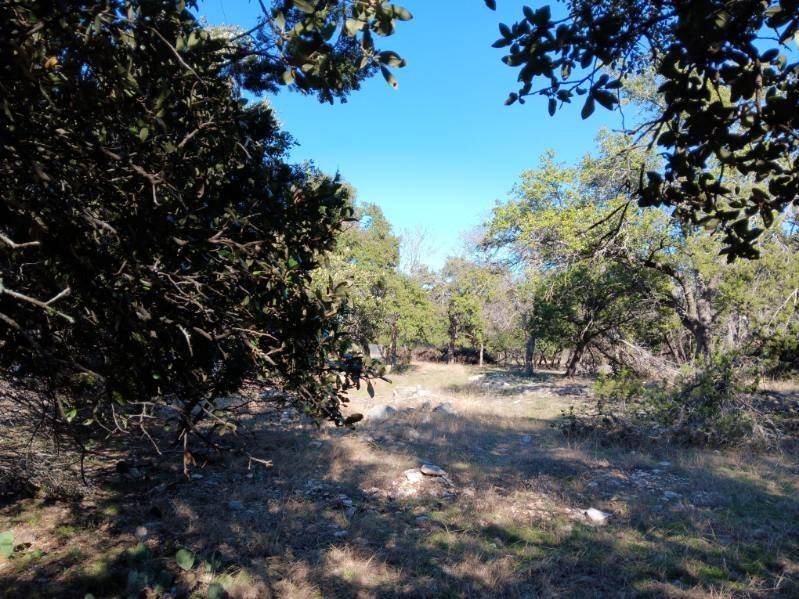 101 Timber Line RD, Georgetown, TX 78633
