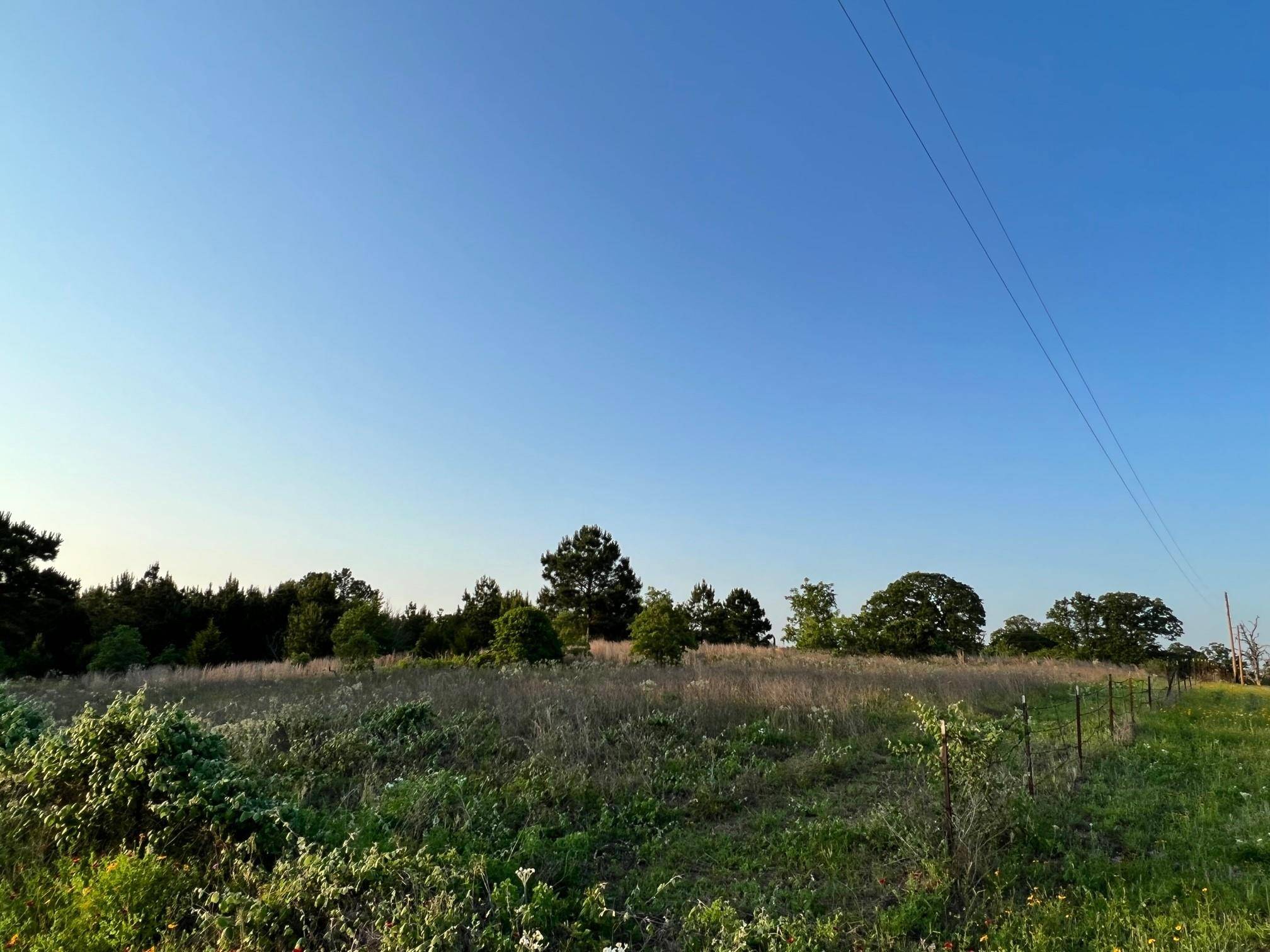 Lot 27 Kinsey Rd, Paige, TX 78659