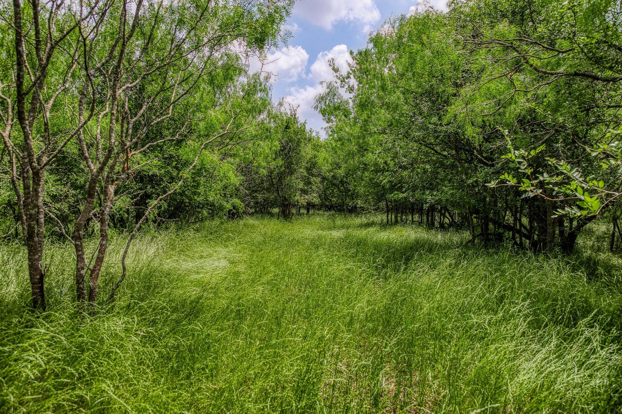 10396 County Road 276 LAND, Somerville, TX 77879