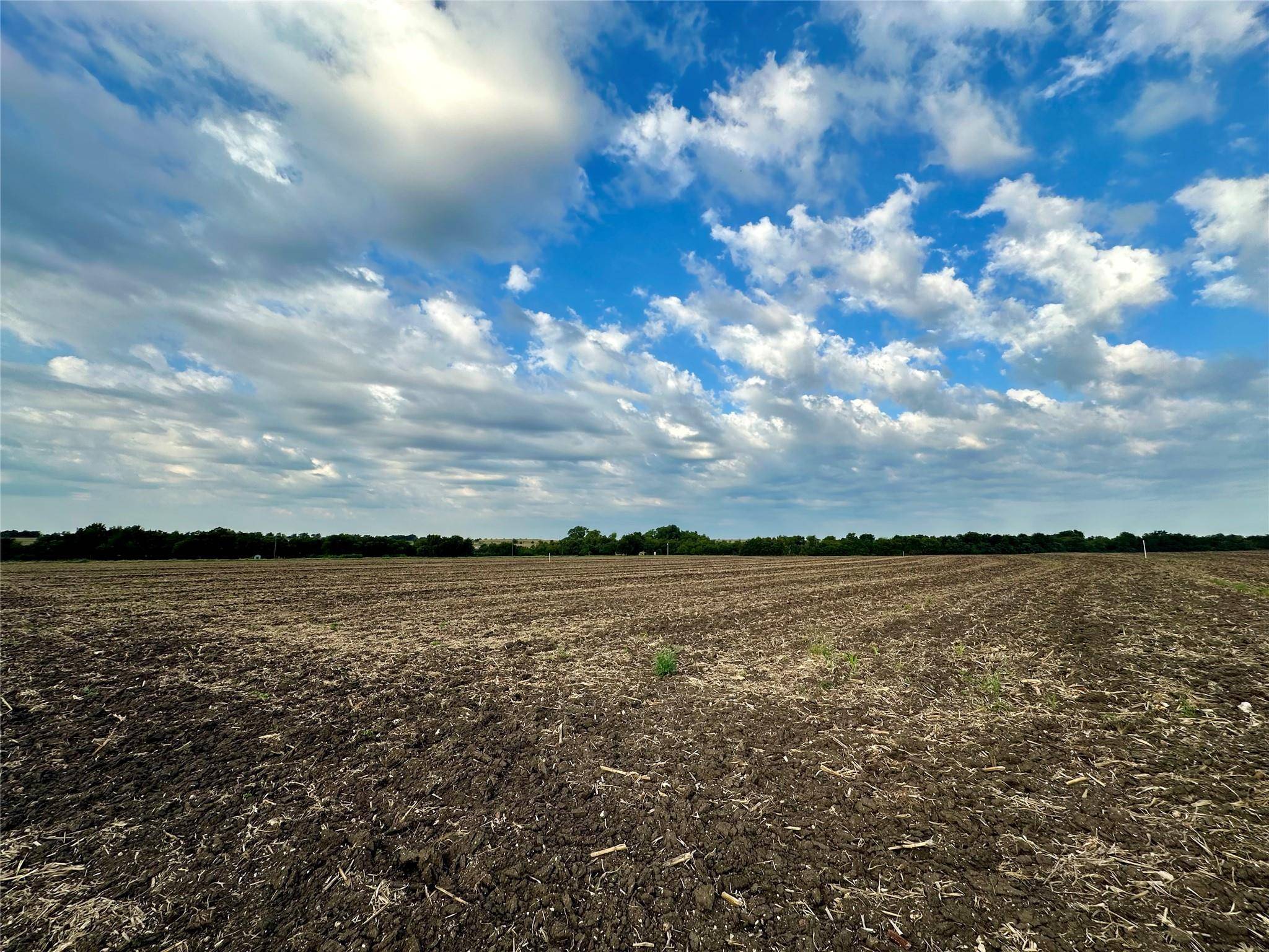 Lot 4 CR 320, Granger, TX 76530