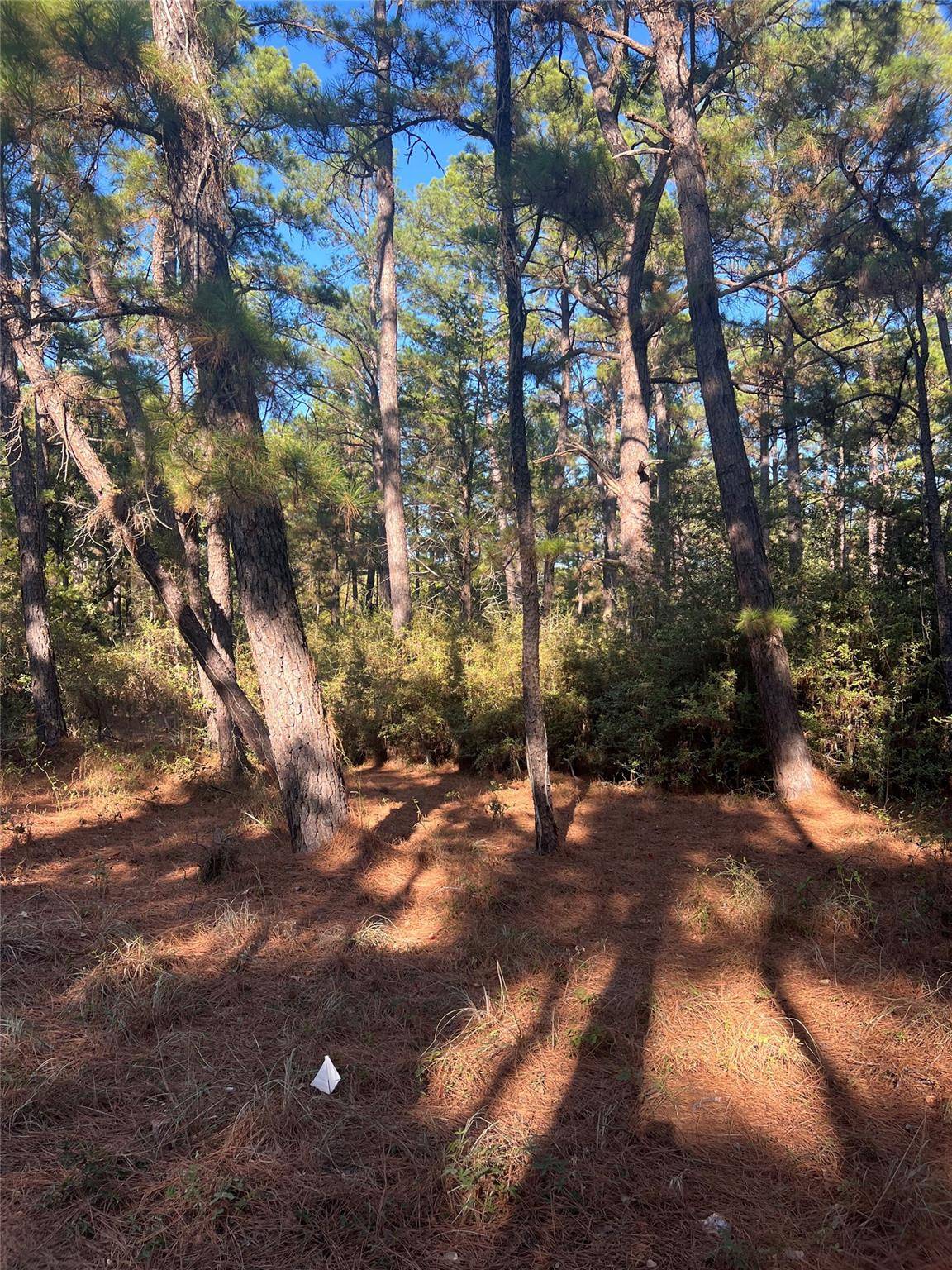 Lot 43 Pine Lodge DR, Bastrop, TX 78602