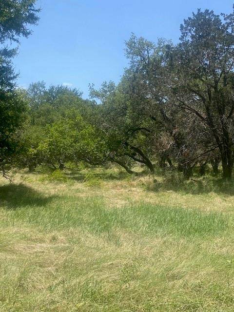 3 Becky LN, Bertram, TX 78605
