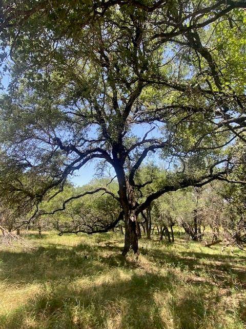 3 Becky LN, Bertram, TX 78605