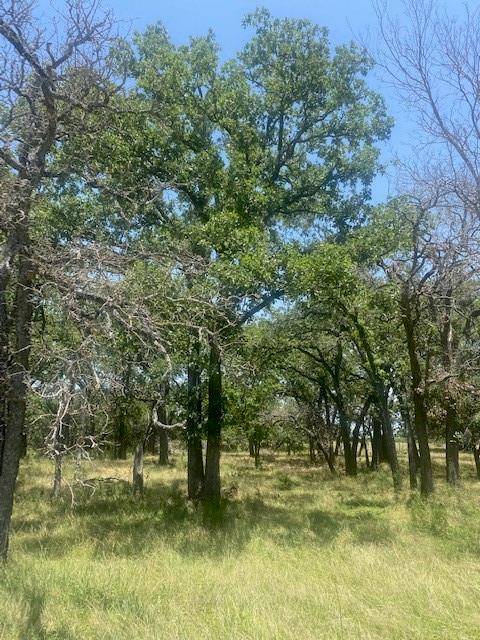 3 Becky LN, Bertram, TX 78605