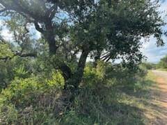 0 Lunar DR, Burnet, TX 78611