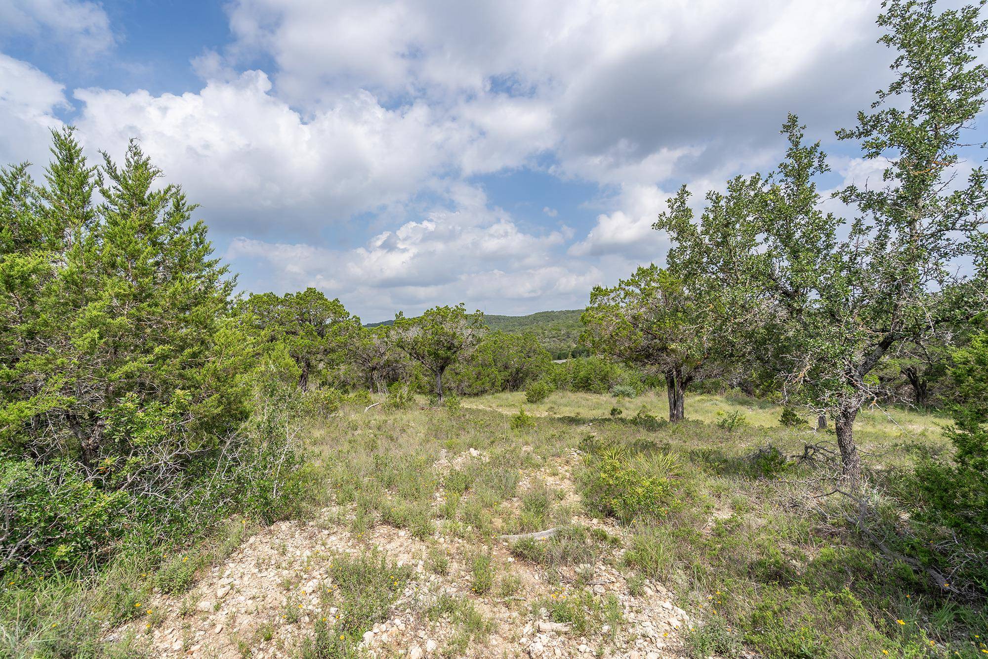 19705 Tyler TRL, Jonestown, TX 78645