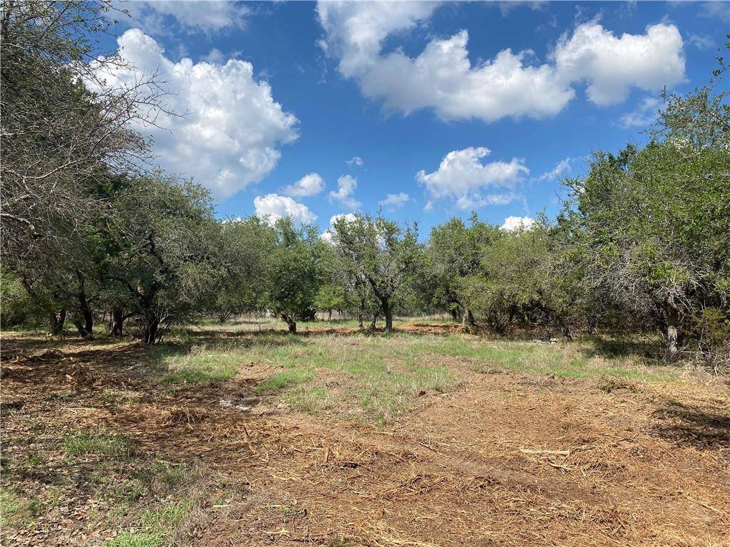 33400 Brooks Ranch RD, Austin, TX 78620