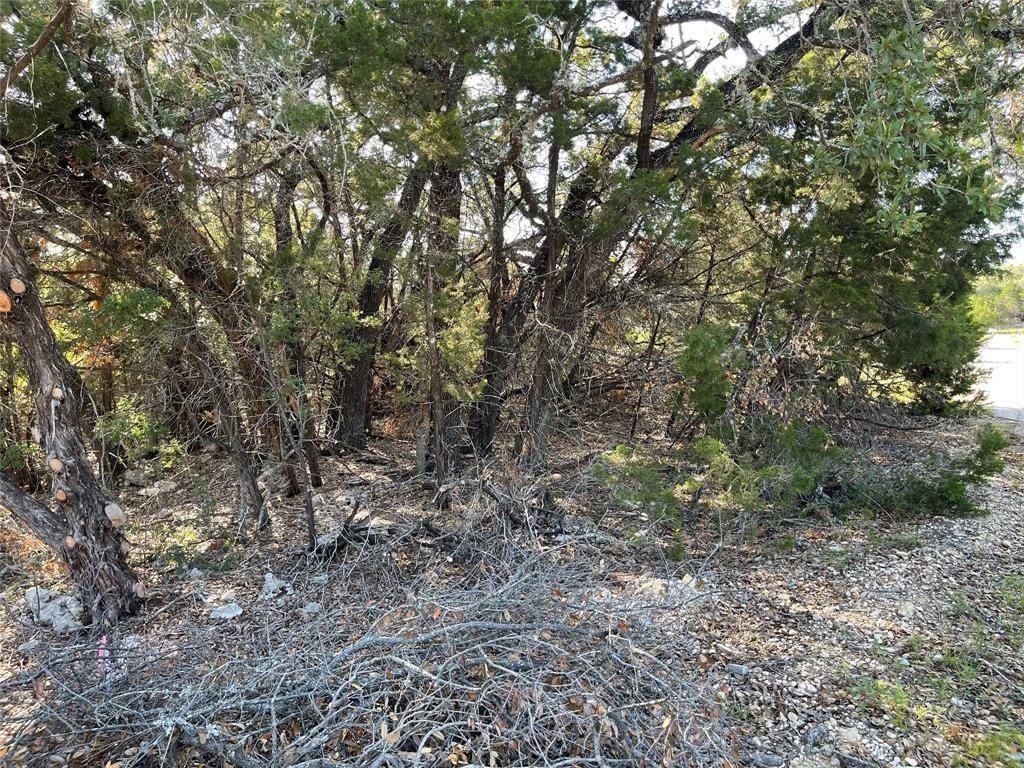 21105 Santa Carlo Ave, Lago Vista, TX 78645