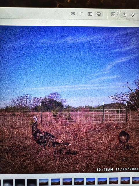 TBD 000 County Road 2699, Goldthwaite, TX 76853