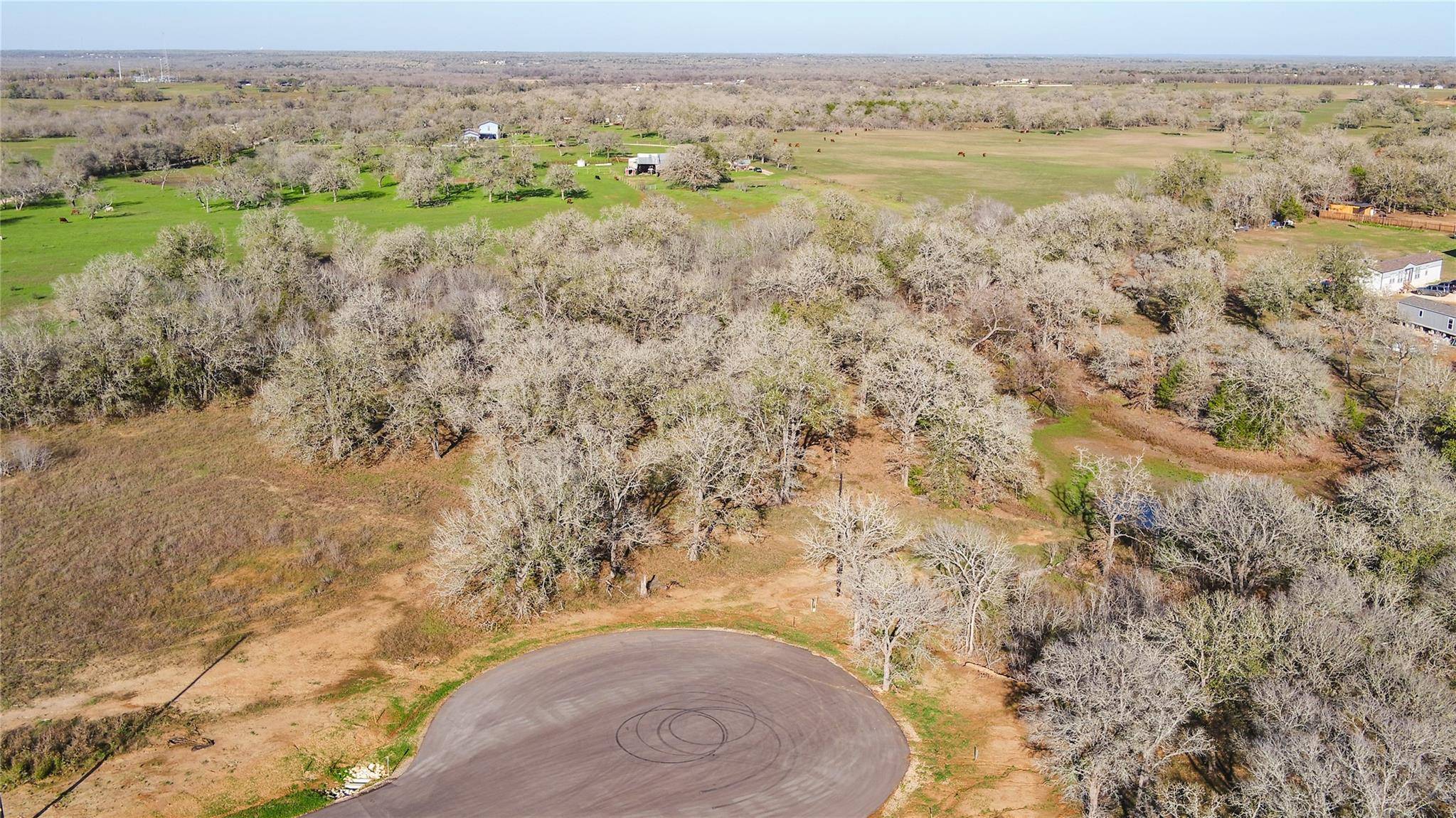 199 AZALEA CT, Dale, TX 78616