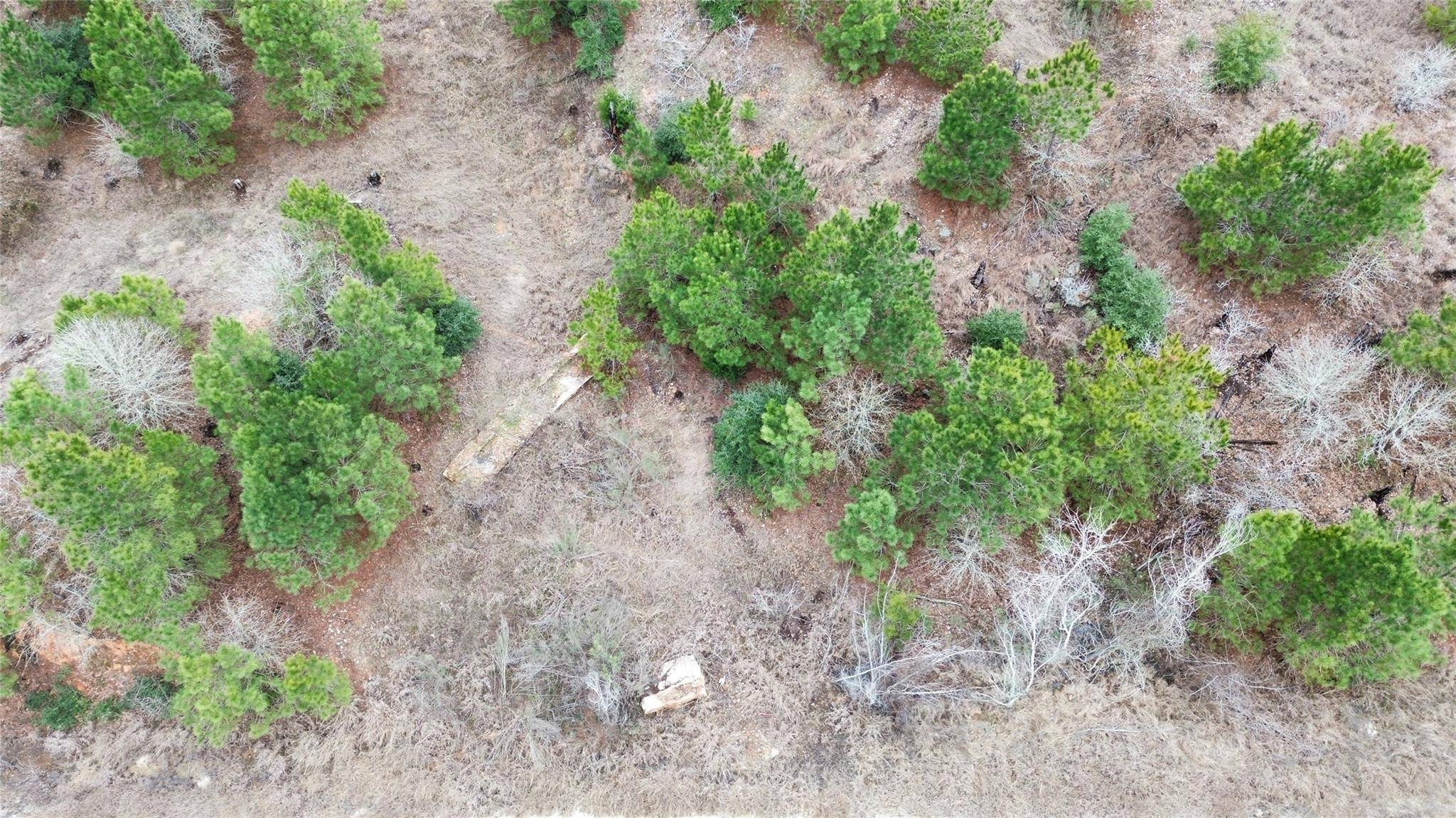 LOT 173 / R32210 Keo Kea CT, Bastrop, TX 78602