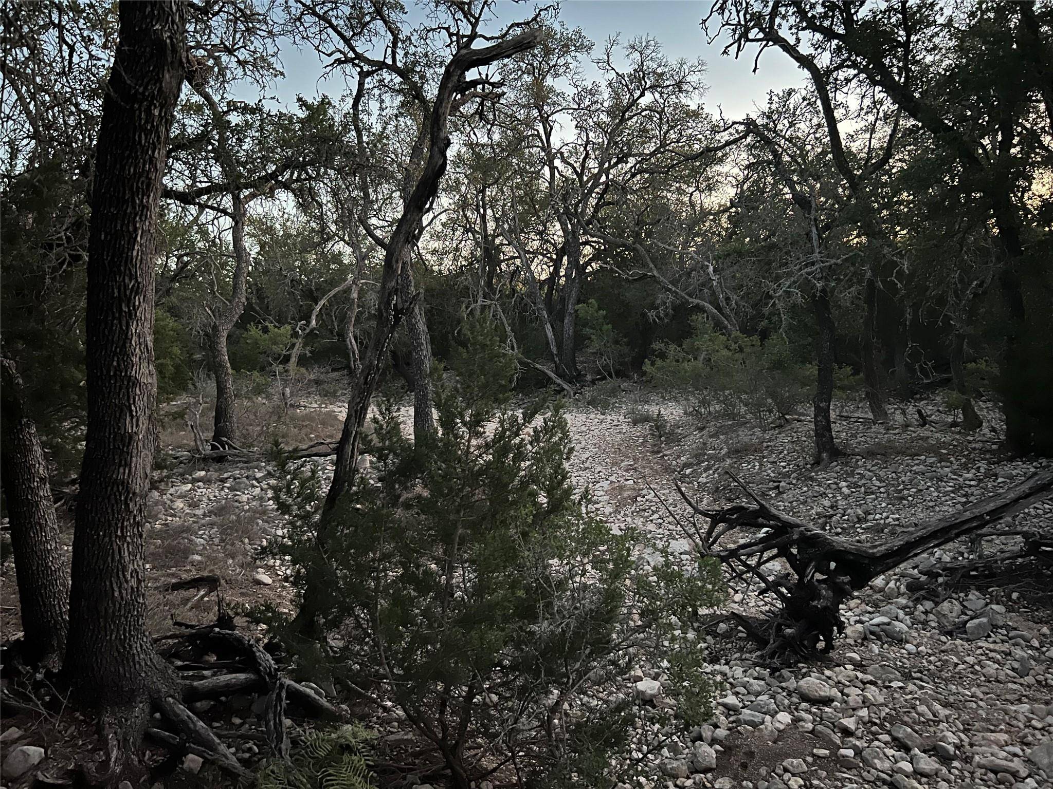 TBD County Road 450, Rocksprings, TX 78880