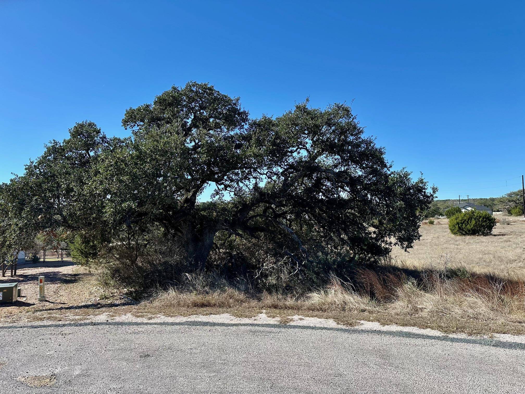 110 Alf Hunter, Blanco, TX 78606