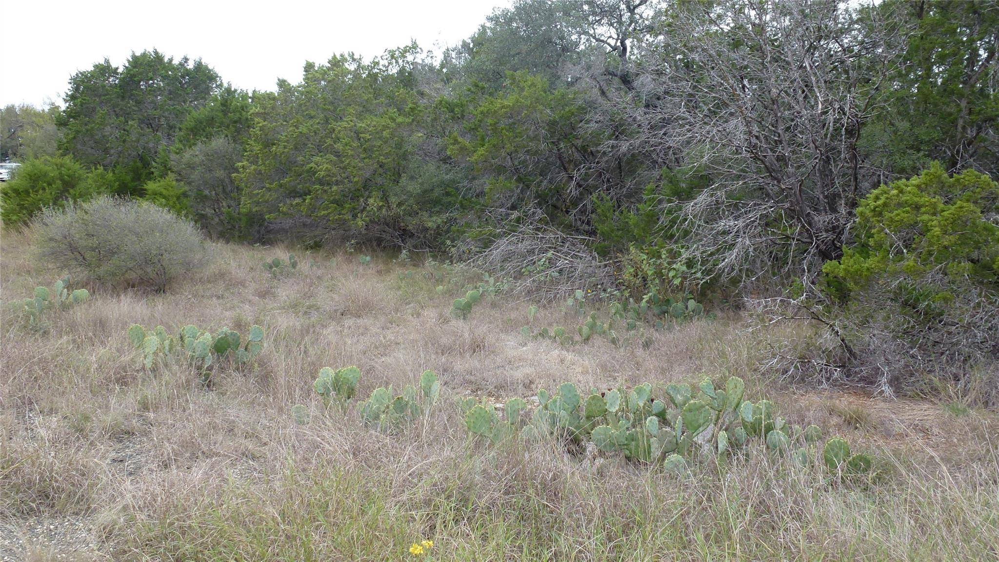 K12034 Stampede ST, Horseshoe Bay, TX 78657