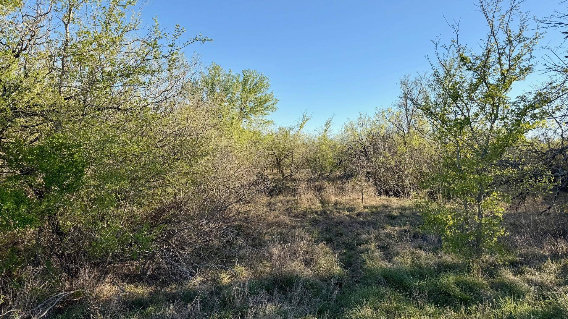 14 Spanish Oaks BLVD, Lockhart, TX 78644