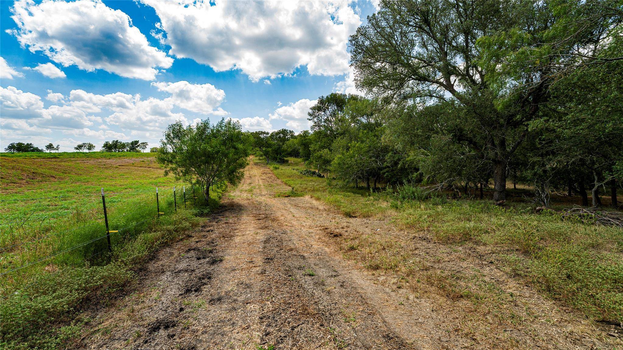 3980 (Tract 5) Fm 3158, Dale, TX 78616