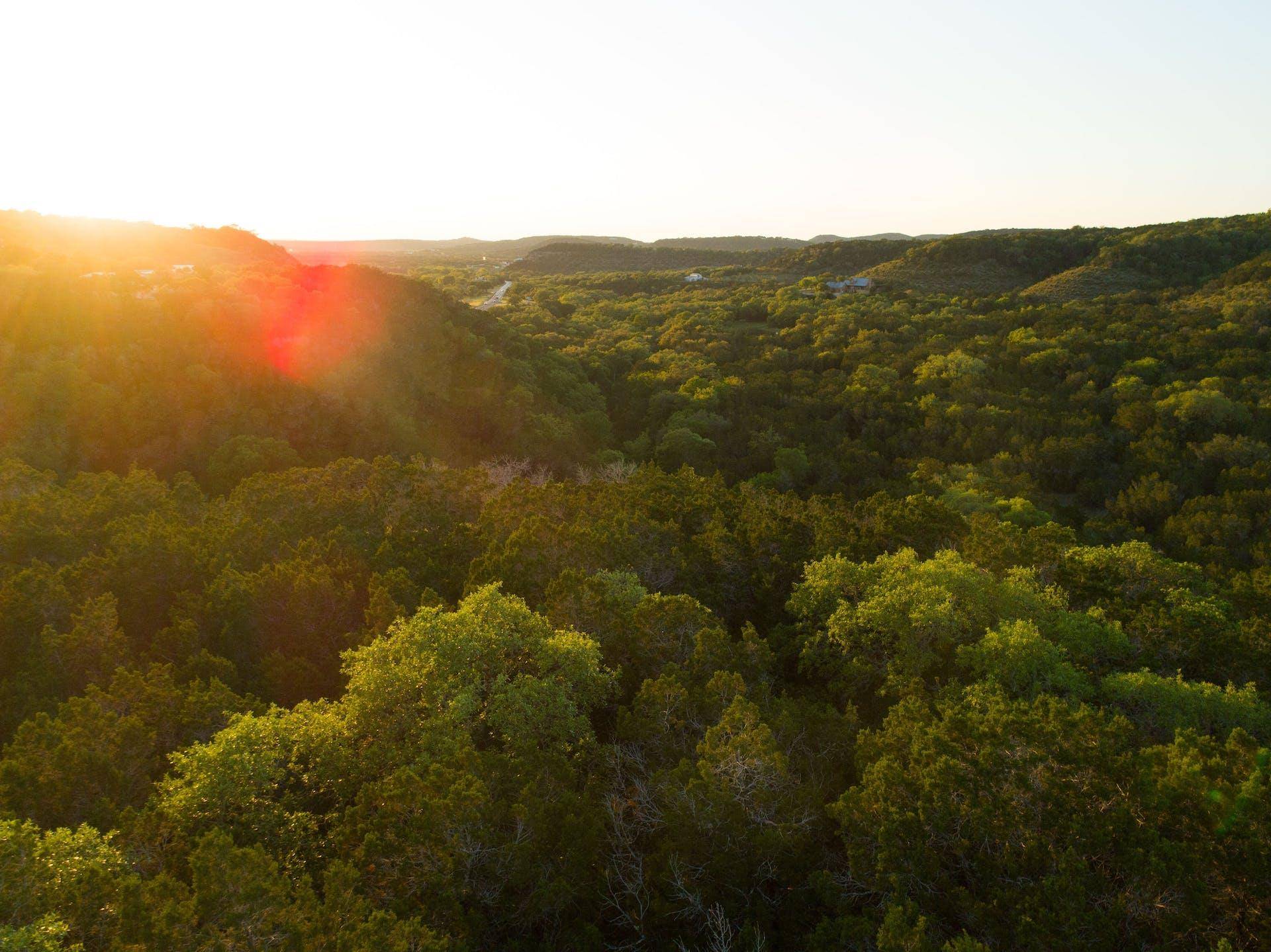 10580 Fm 306, New Braunfels, TX 78132