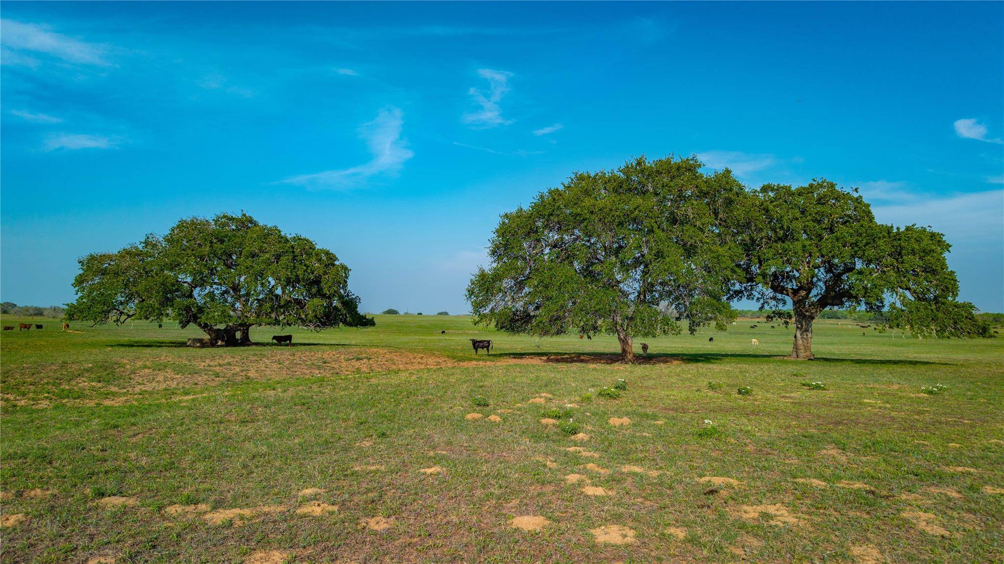 TBD County Road 404, Floresville, TX 78114