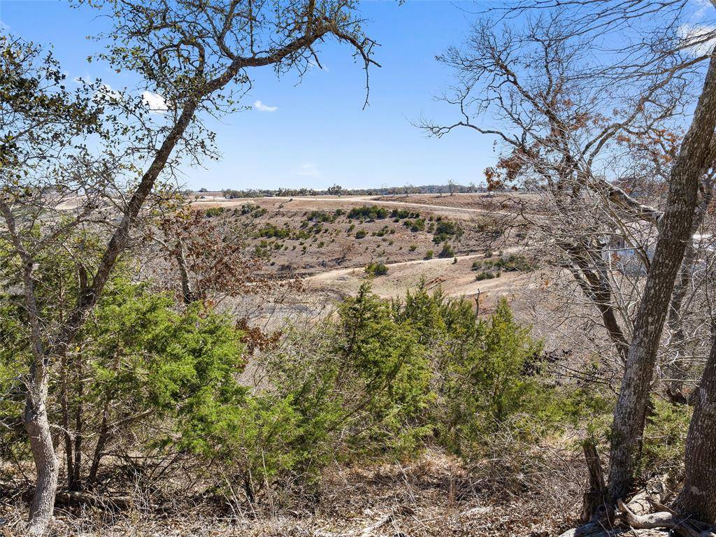 Lot 116 Majestic Hills DR, Blanco, TX 78606