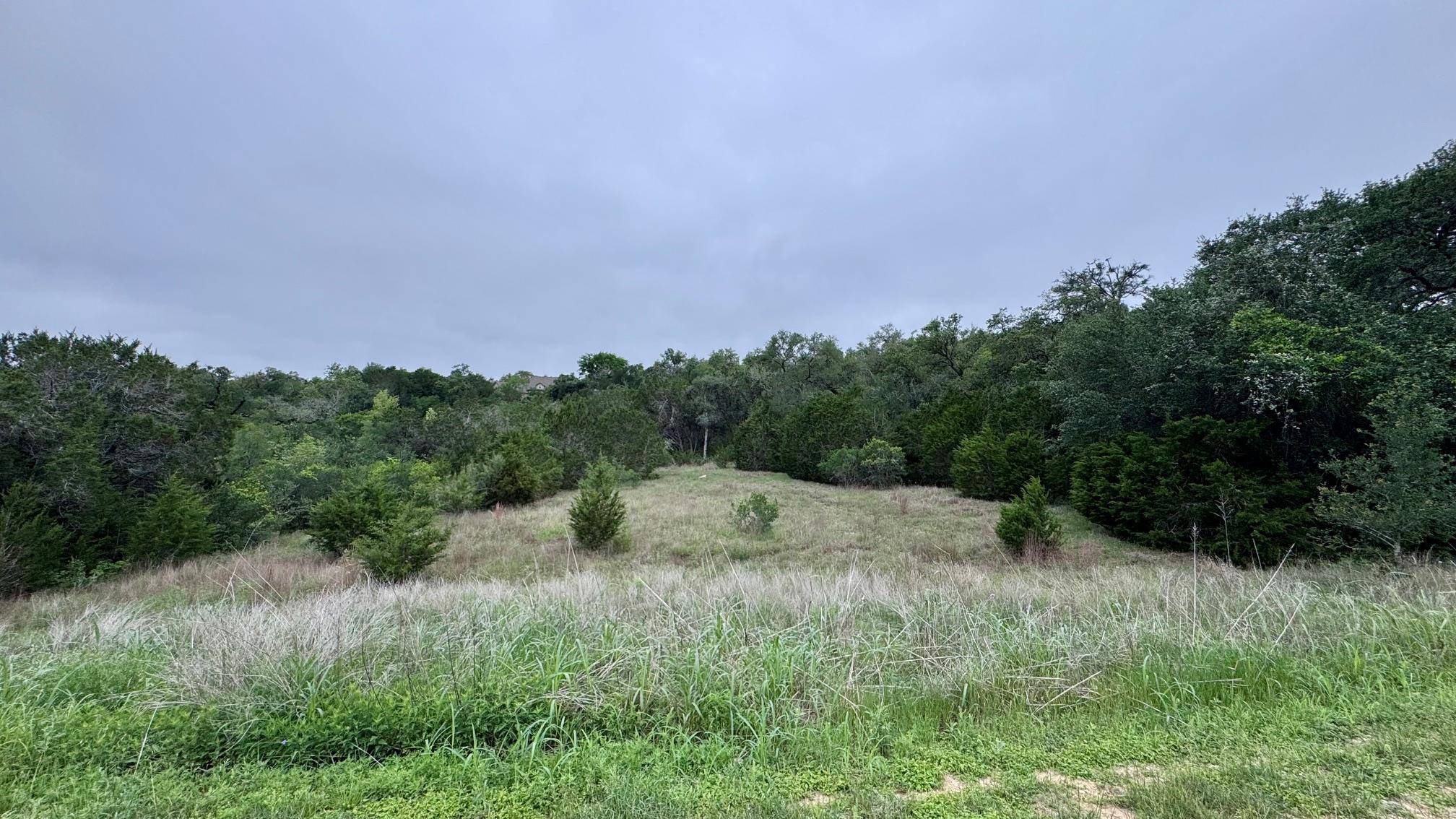 673 Yorks XING, Driftwood, TX 78619