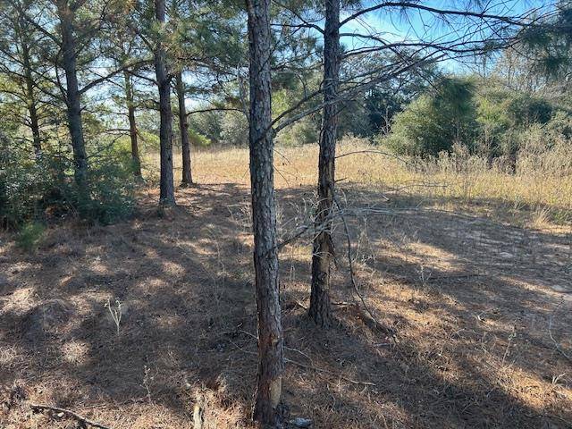7179 FM 141, Dime Box, TX 77853