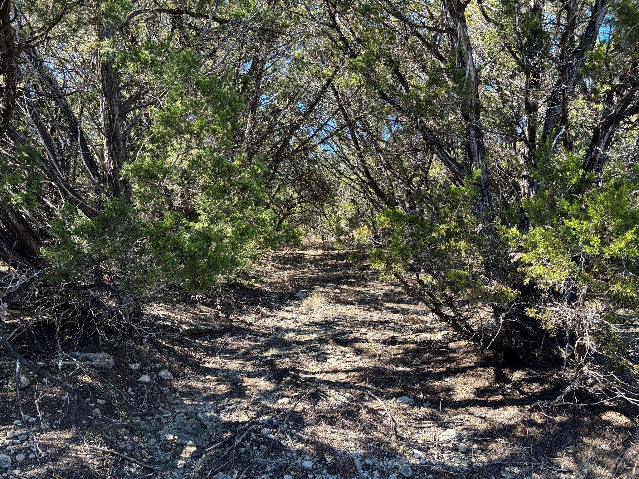 0 Fawn River DR, Spring Branch, TX 78070