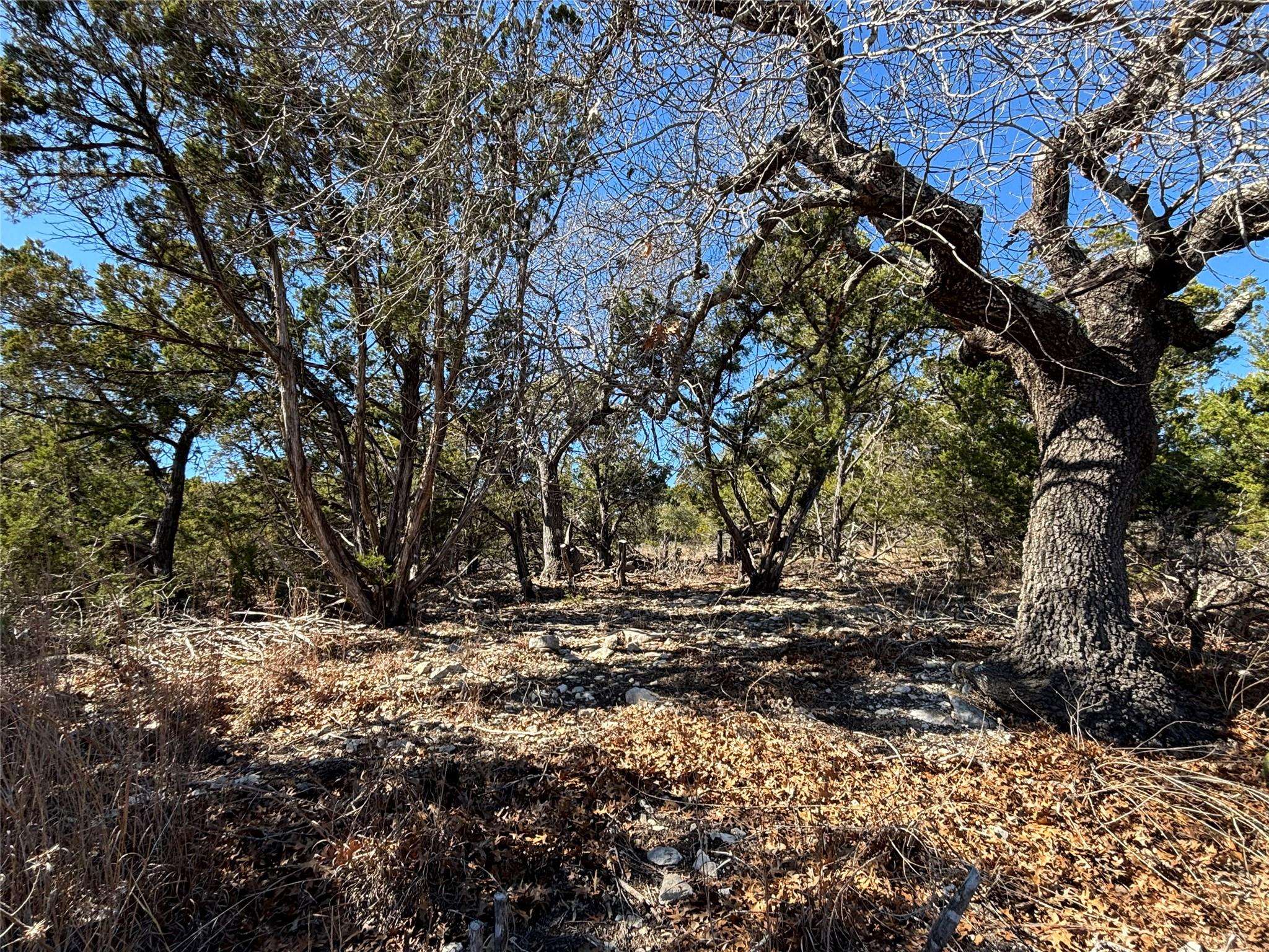 0 Fawn River DR, Spring Branch, TX 78070