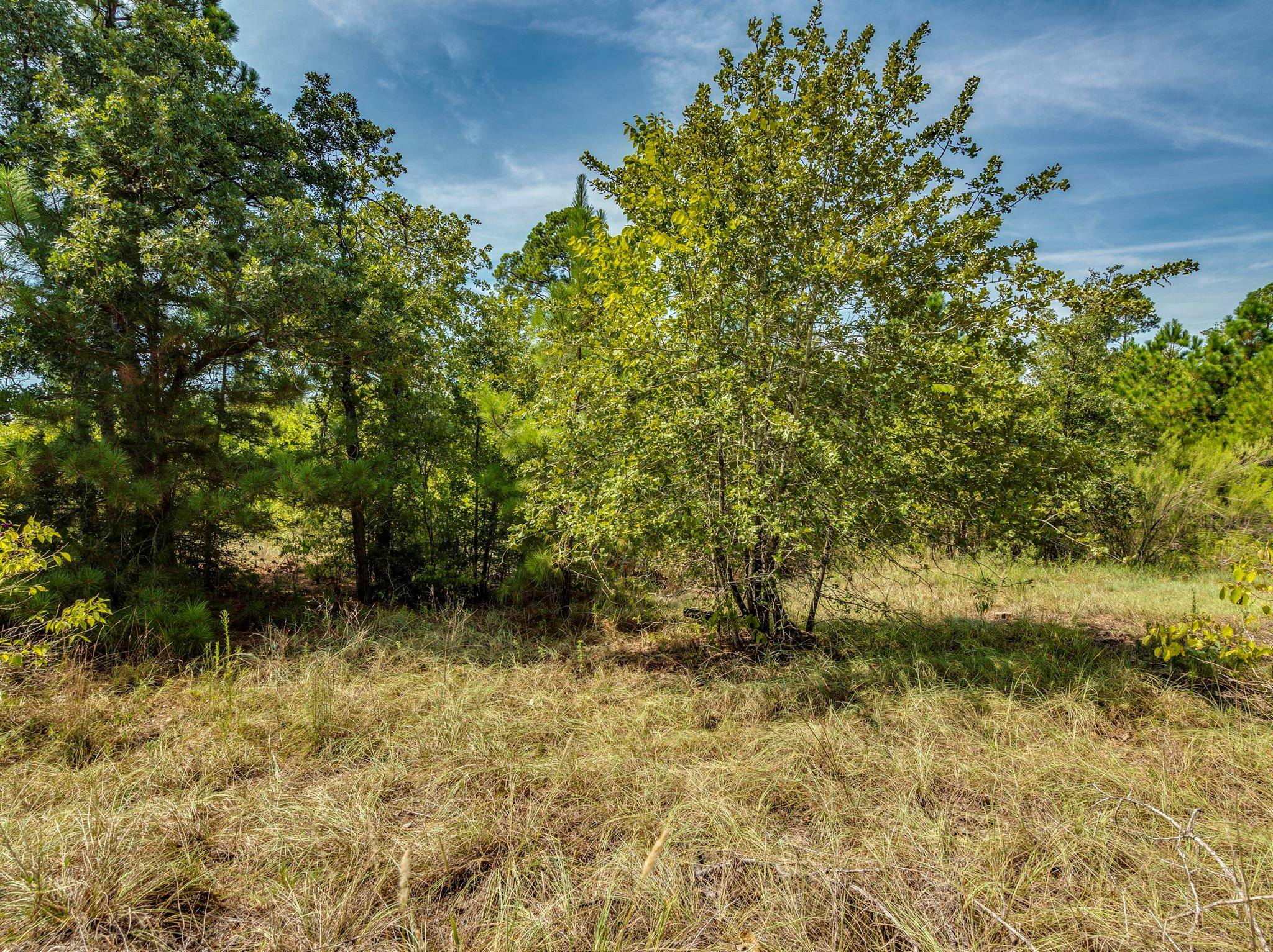 00 Makaha DR, Bastrop, TX 78602