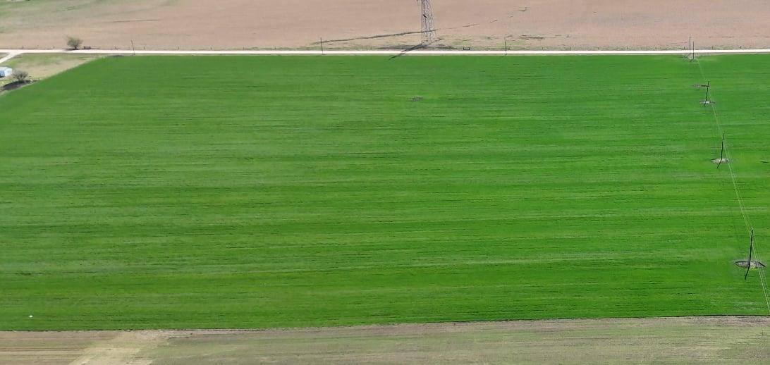 TBD Kelsoville RD, Bartlett, TX 76511