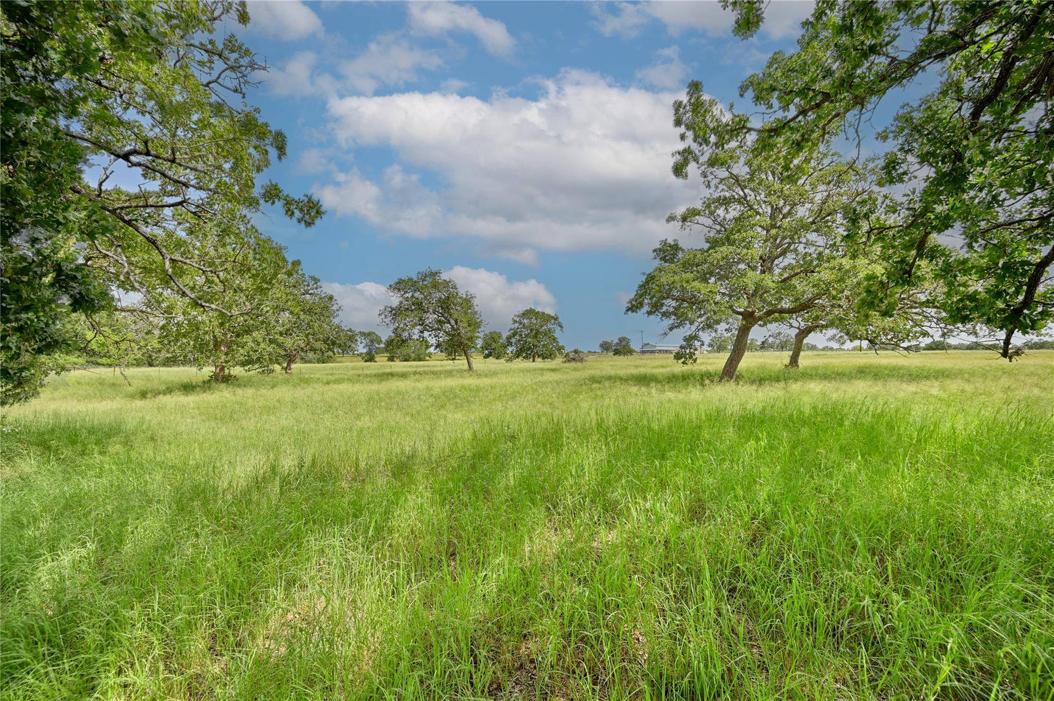106 Sunny Day Dr, Red Rock, TX 78662