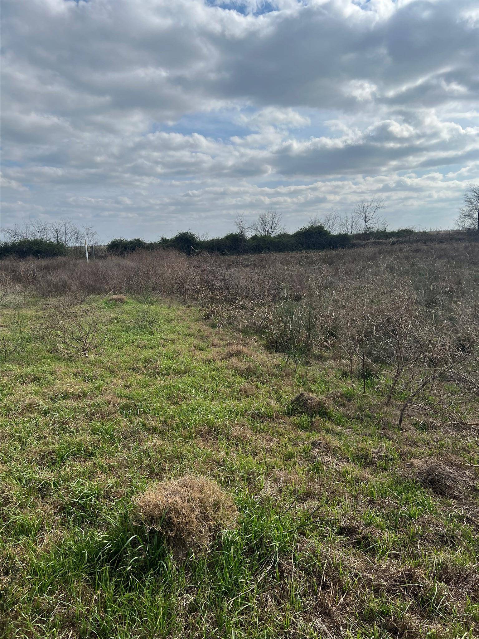 TBD lot 1 Beal RD, Eagle Lake, TX 77434