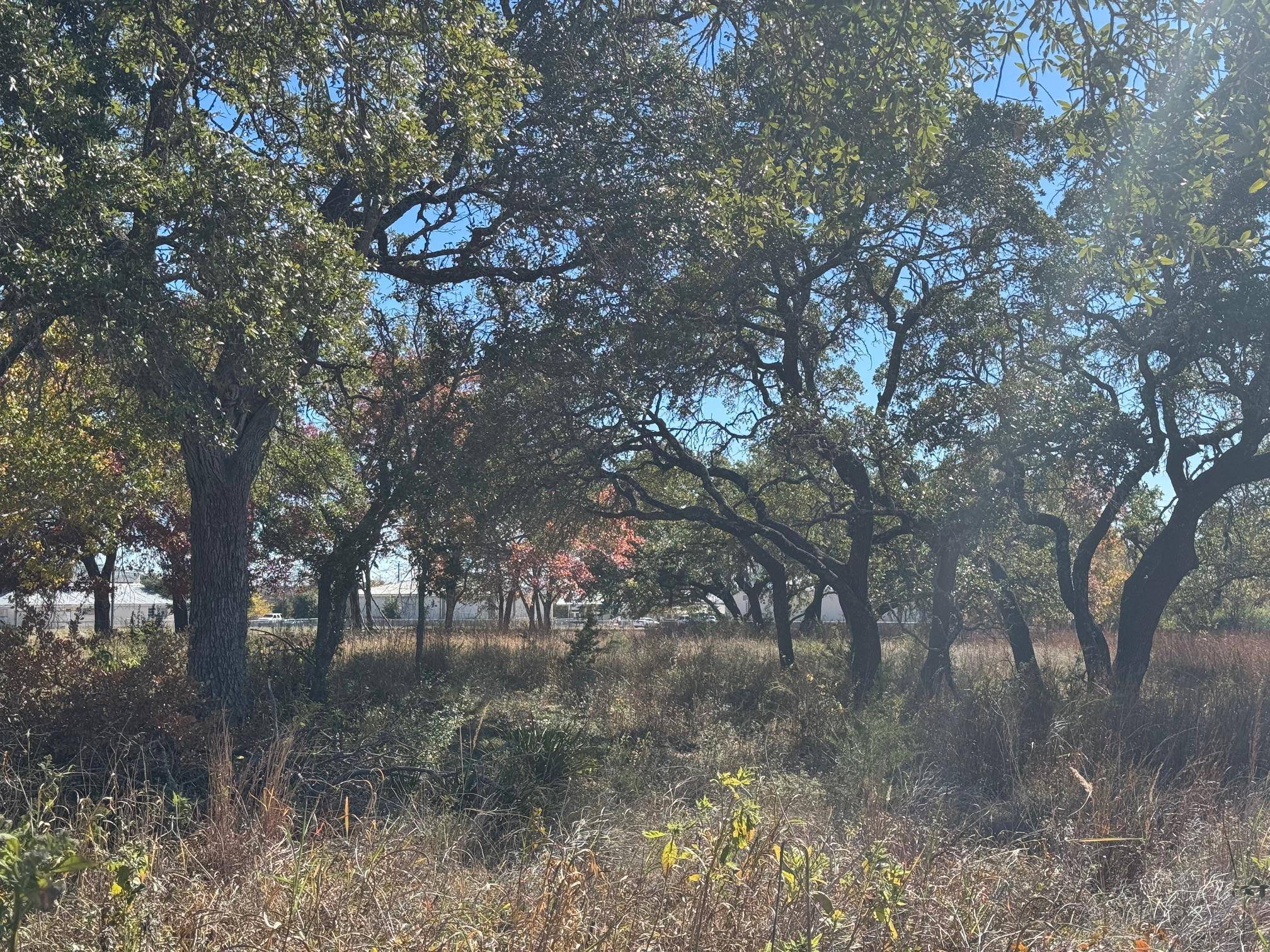 200 & 250 Sportsplex DR, Dripping Springs, TX 78620