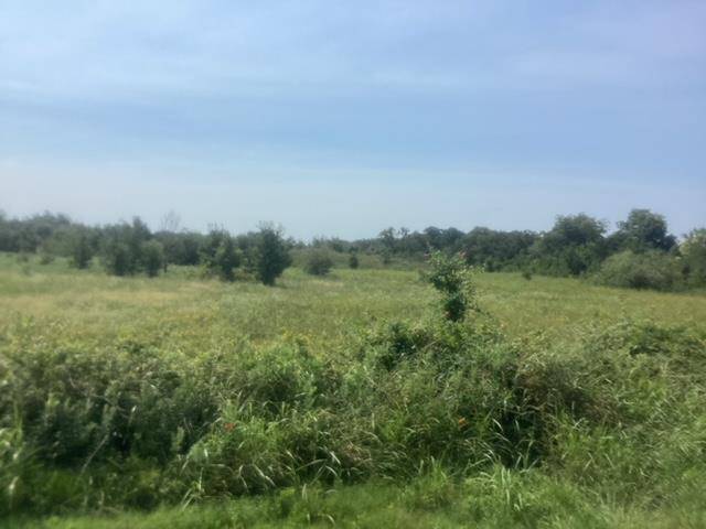 TBD Fm 712, Marlin, TX 76661