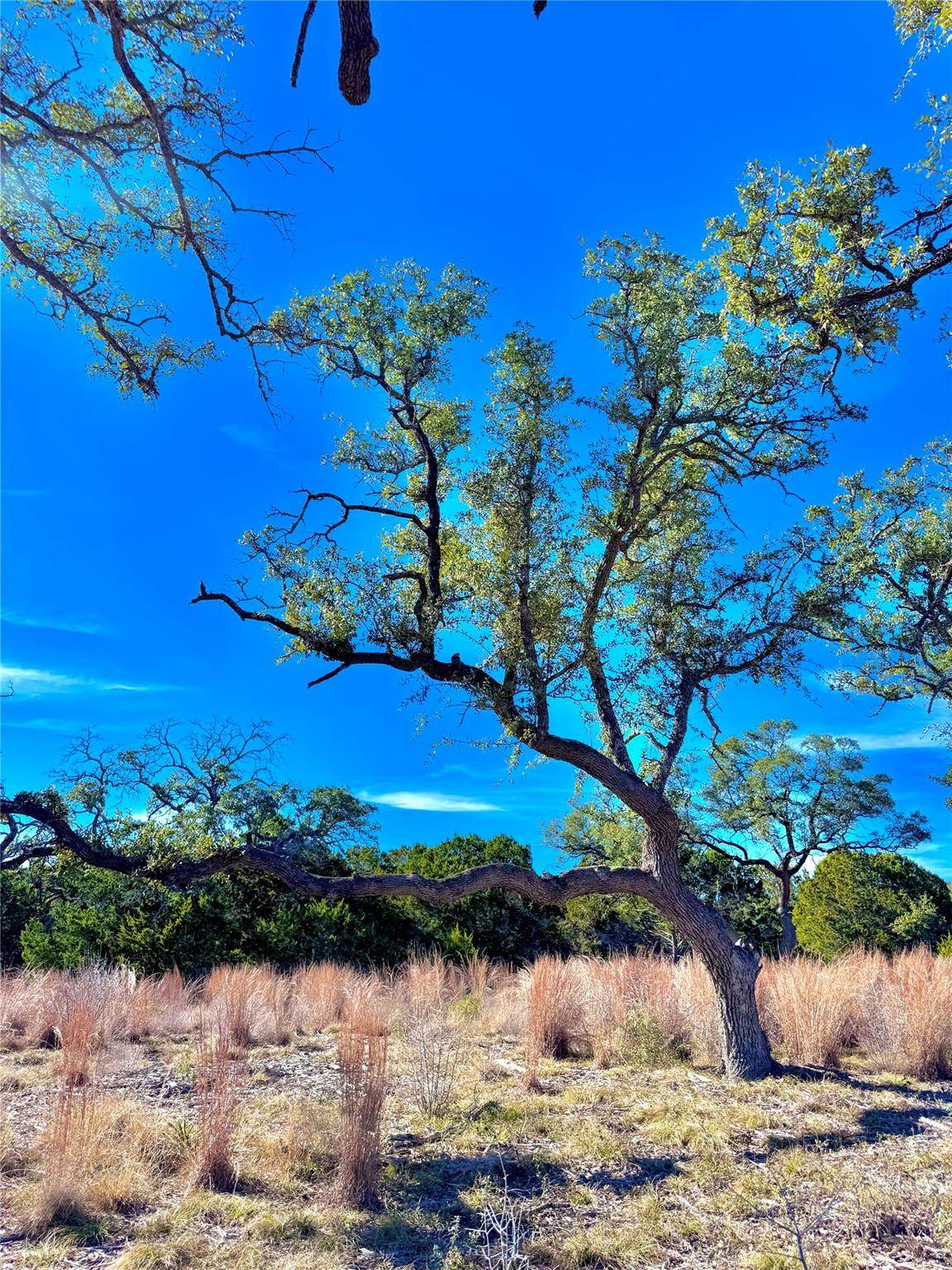TBD tract  91 Citadel DR, Center Point, TX 78010