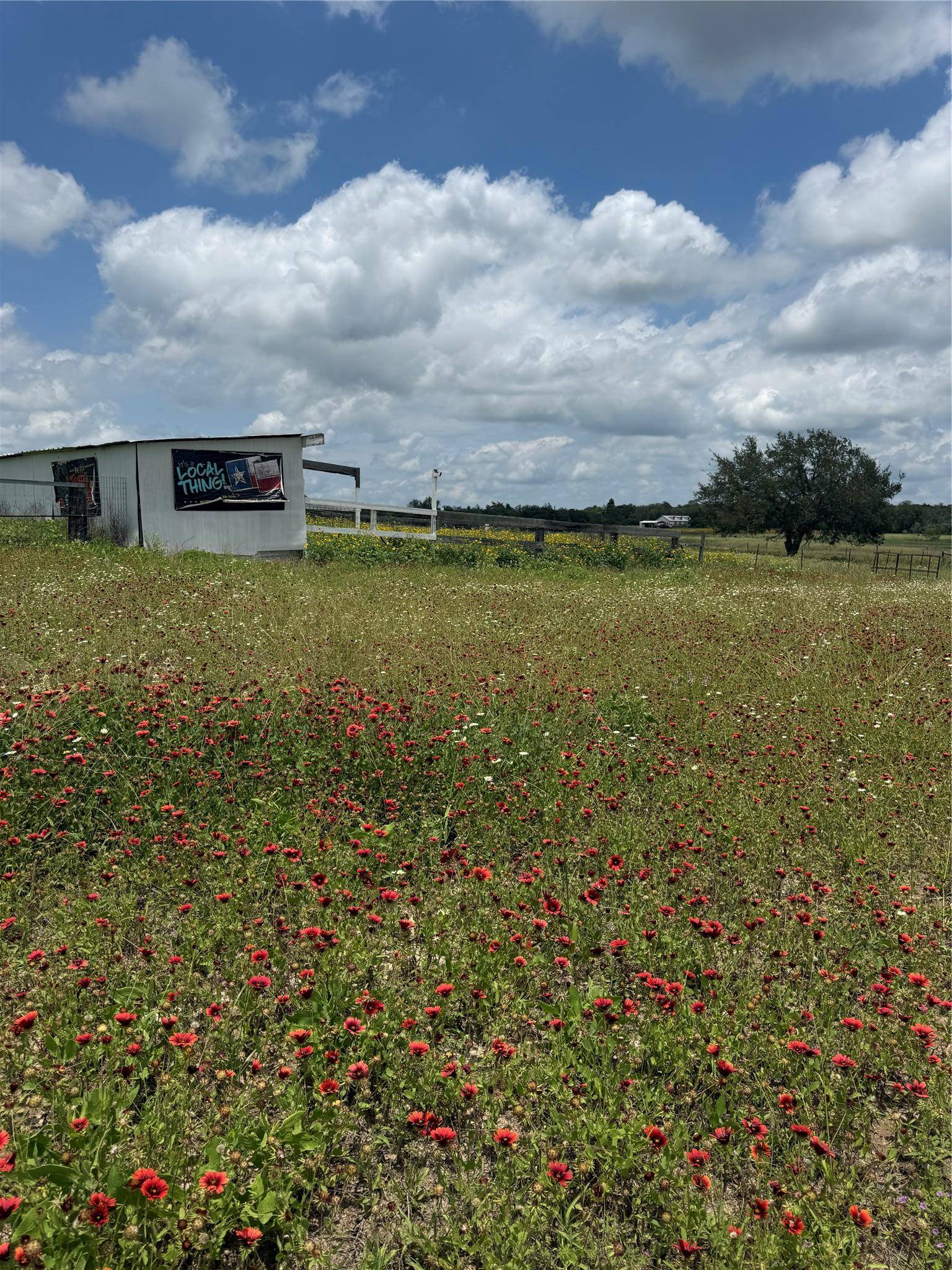2135 Mule Creek RD, Harwood, TX 78632