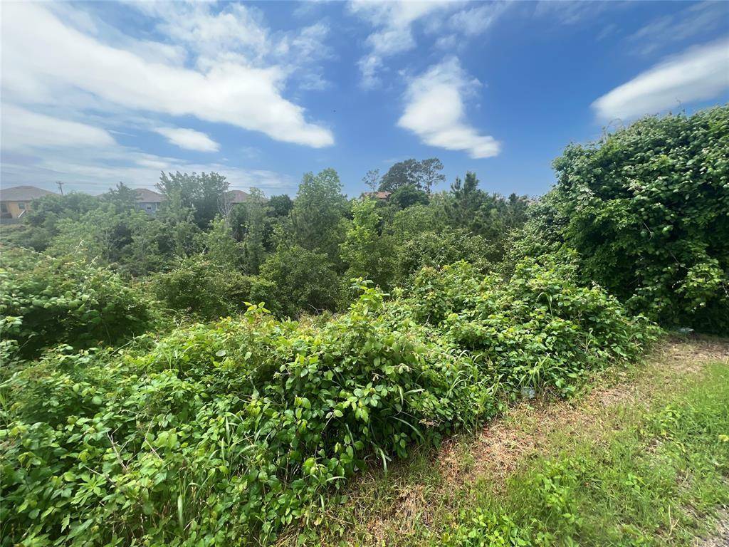 TBDD Pahala CT, Bastrop, TX 78602