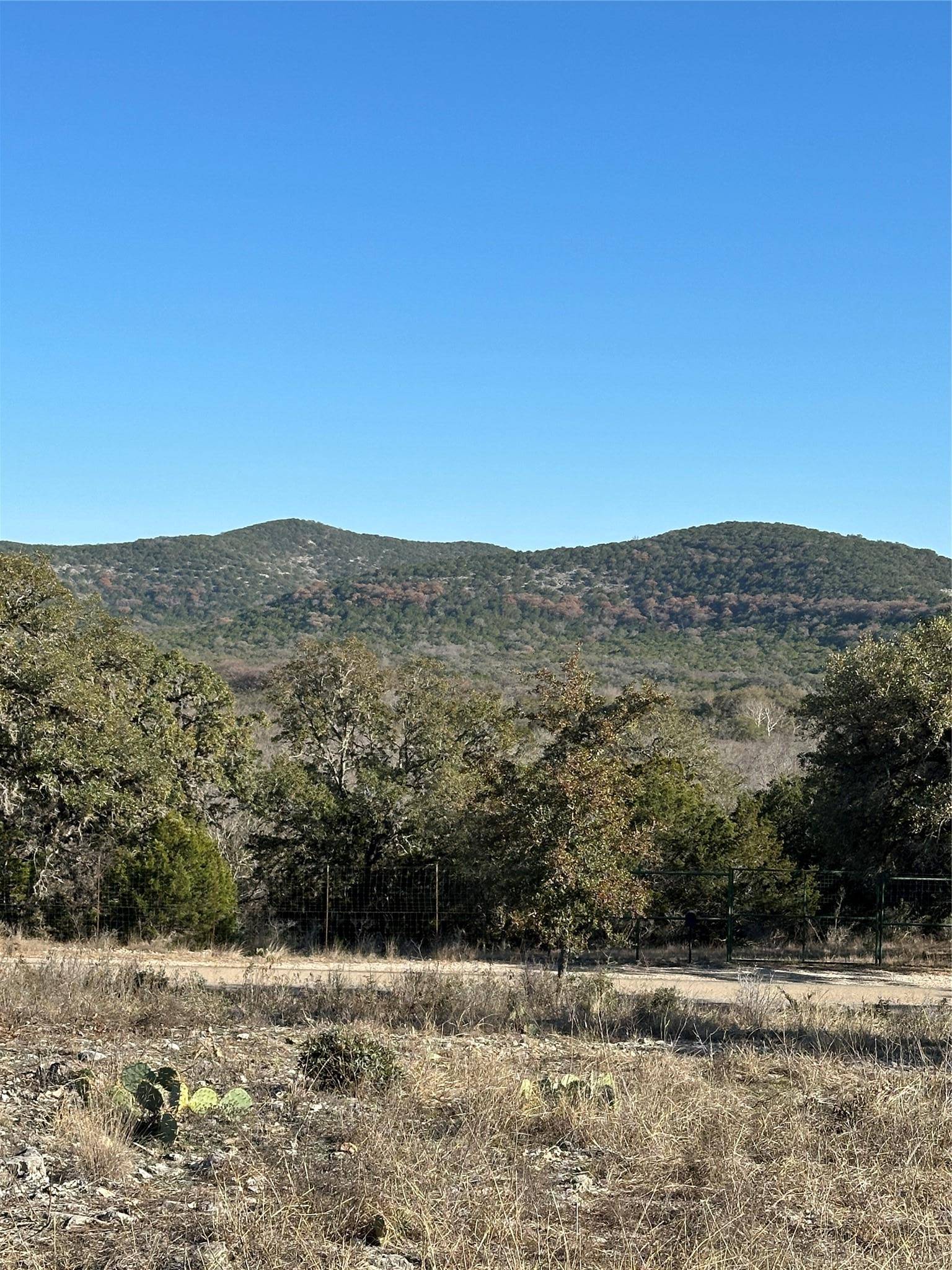 1819 County Road 350, Concan, TX 78838