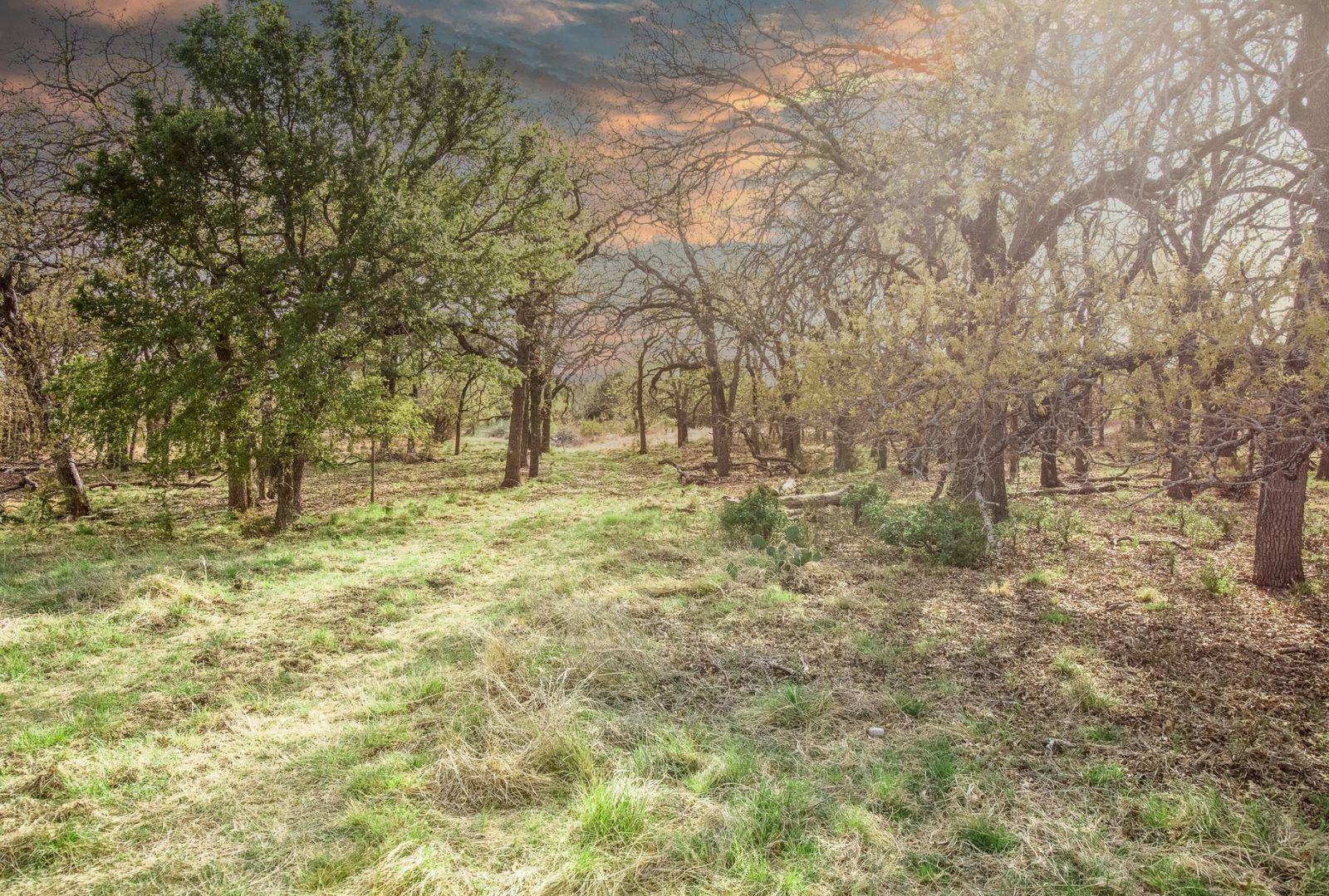 730 E US HWY 84, Goldthwaite, TX 76844