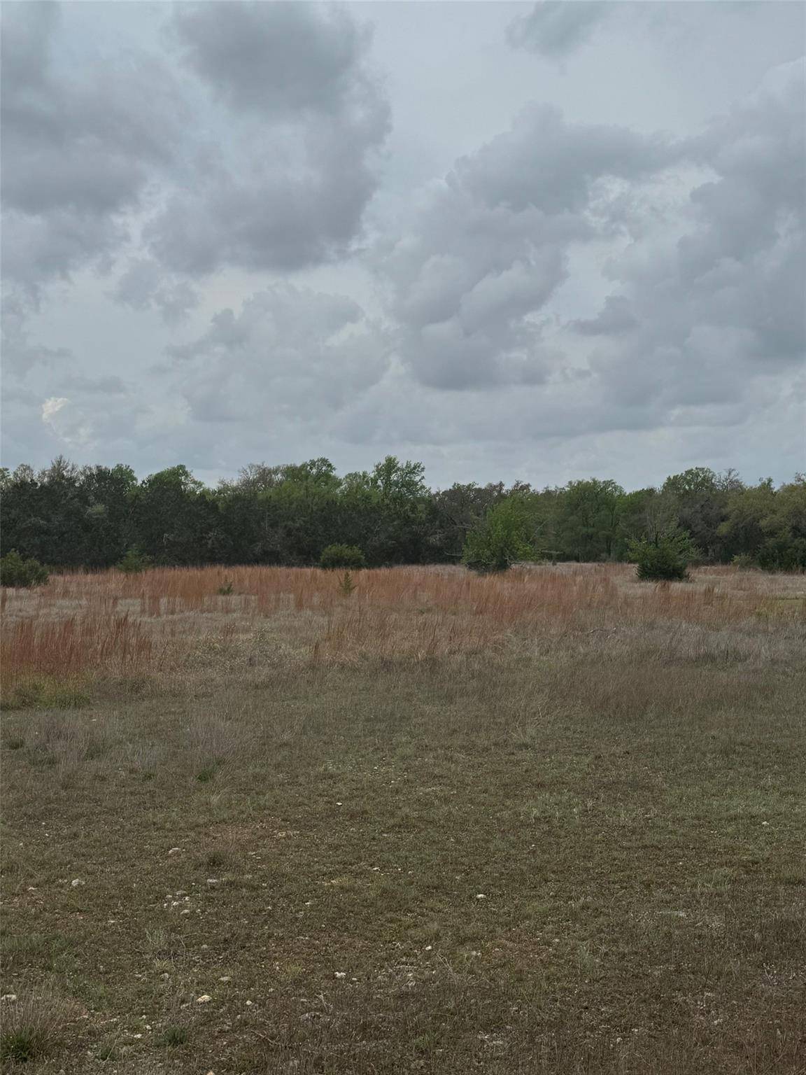 14787 Fitzhugh RD, Austin, TX 78736