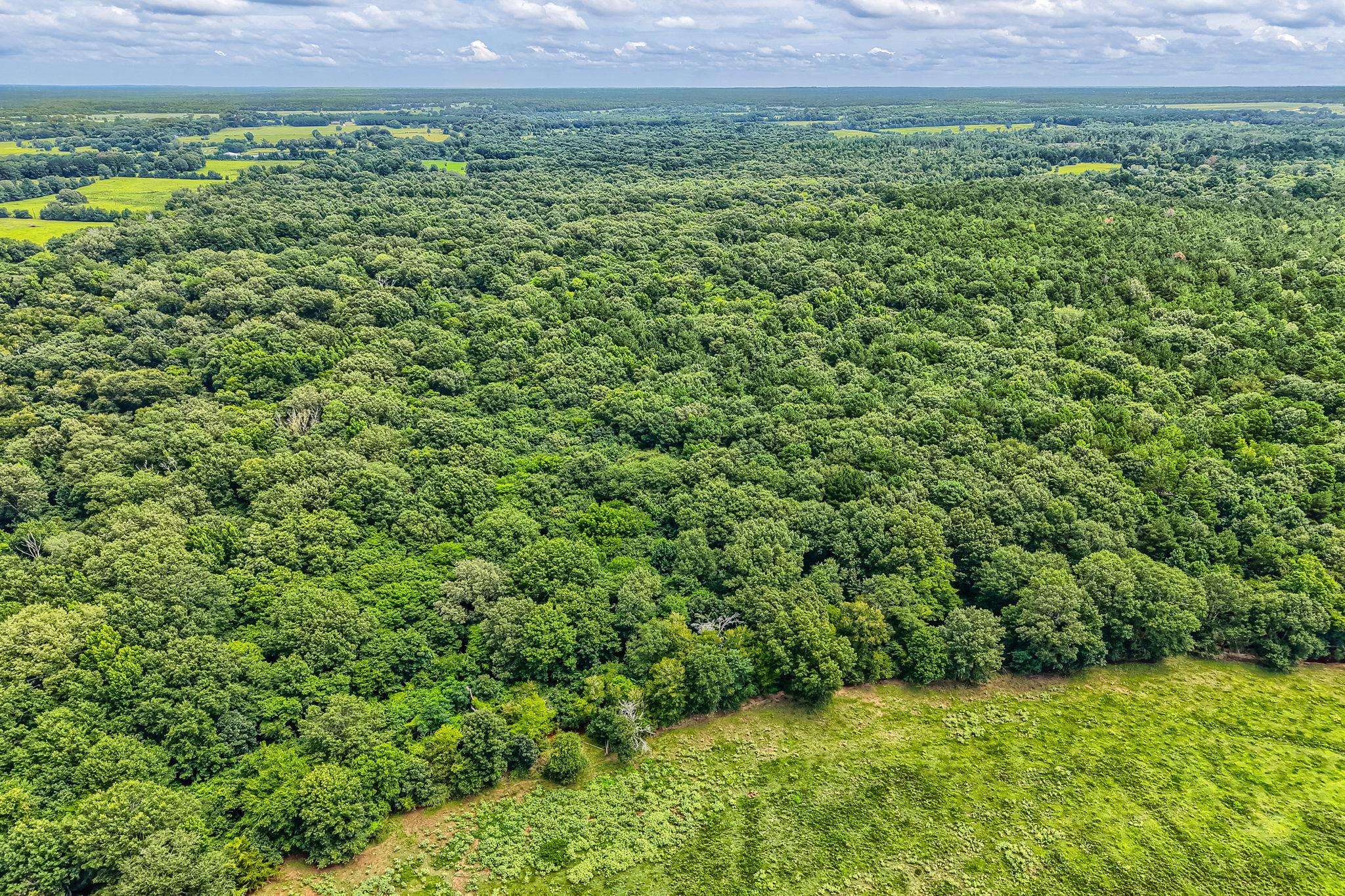 860-852 Co Rd 4224, Troup, TX 75785