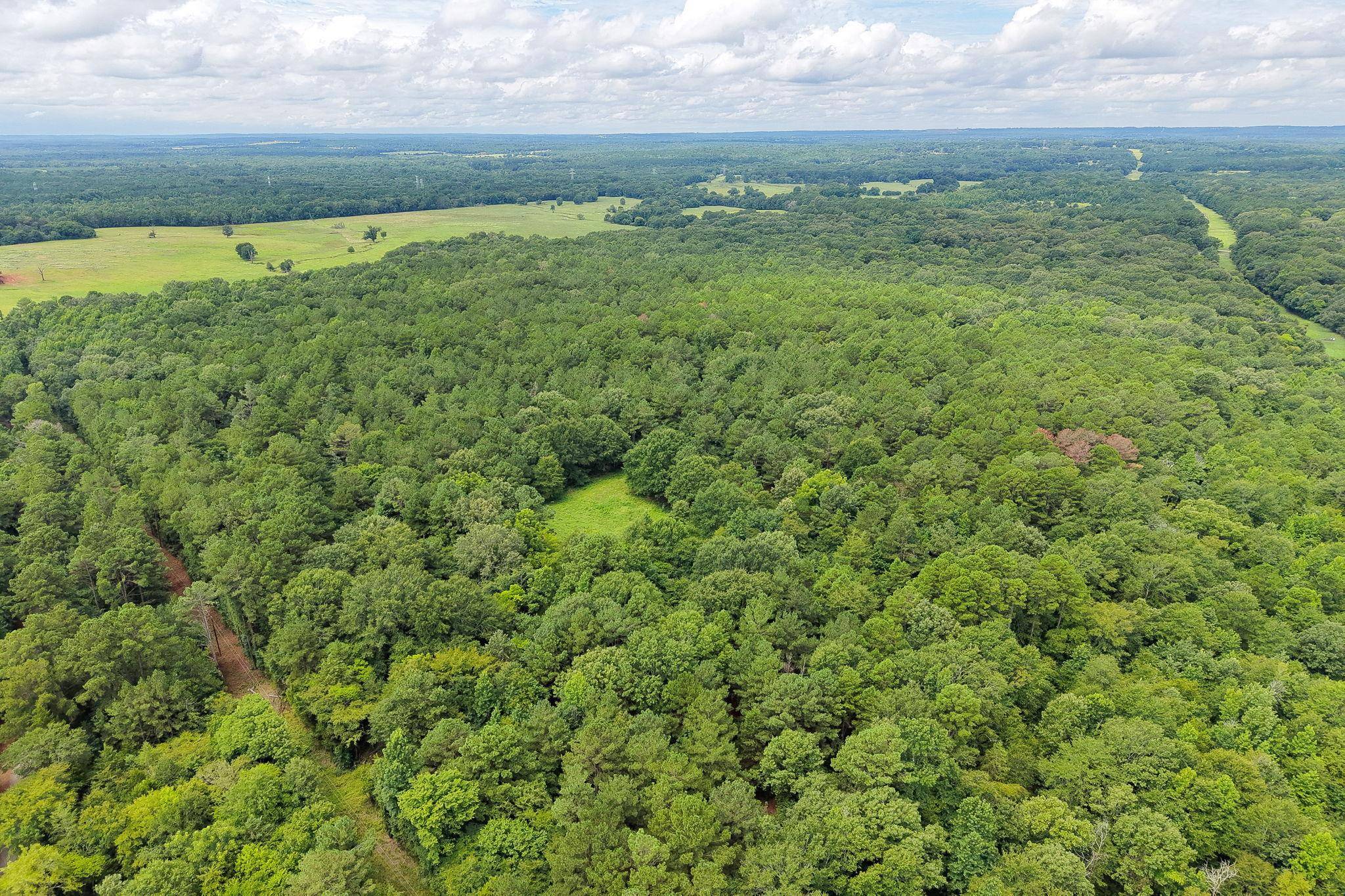 860-852 Co Rd 4224, Troup, TX 75785