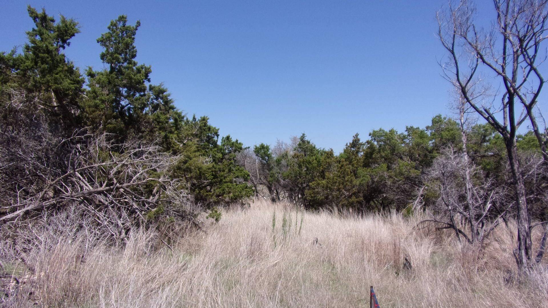 407 E Headwaters Ranch RD, Kendalia, TX 78027