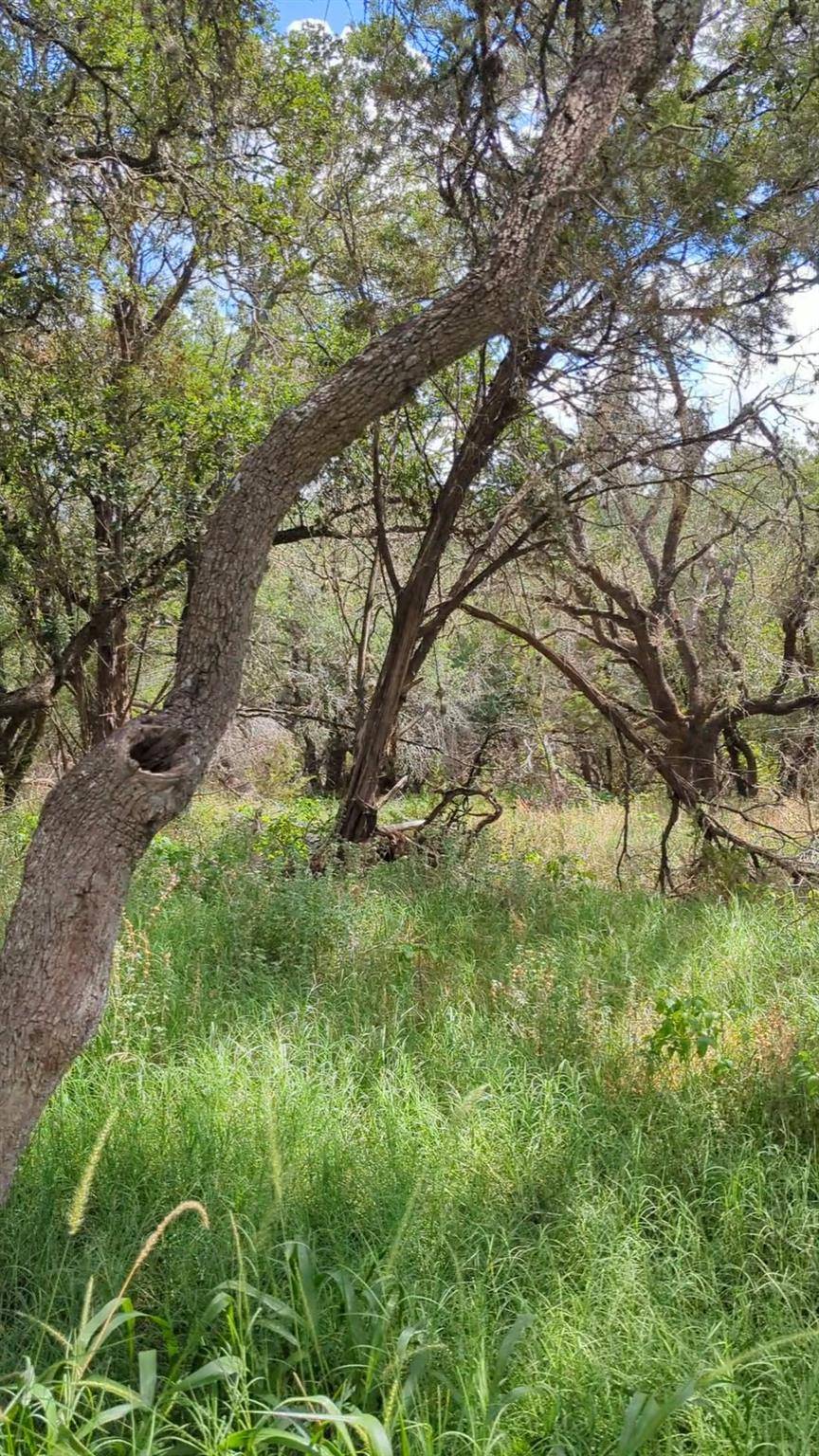 757 Rabbit Ave, Wimberley, TX 78676